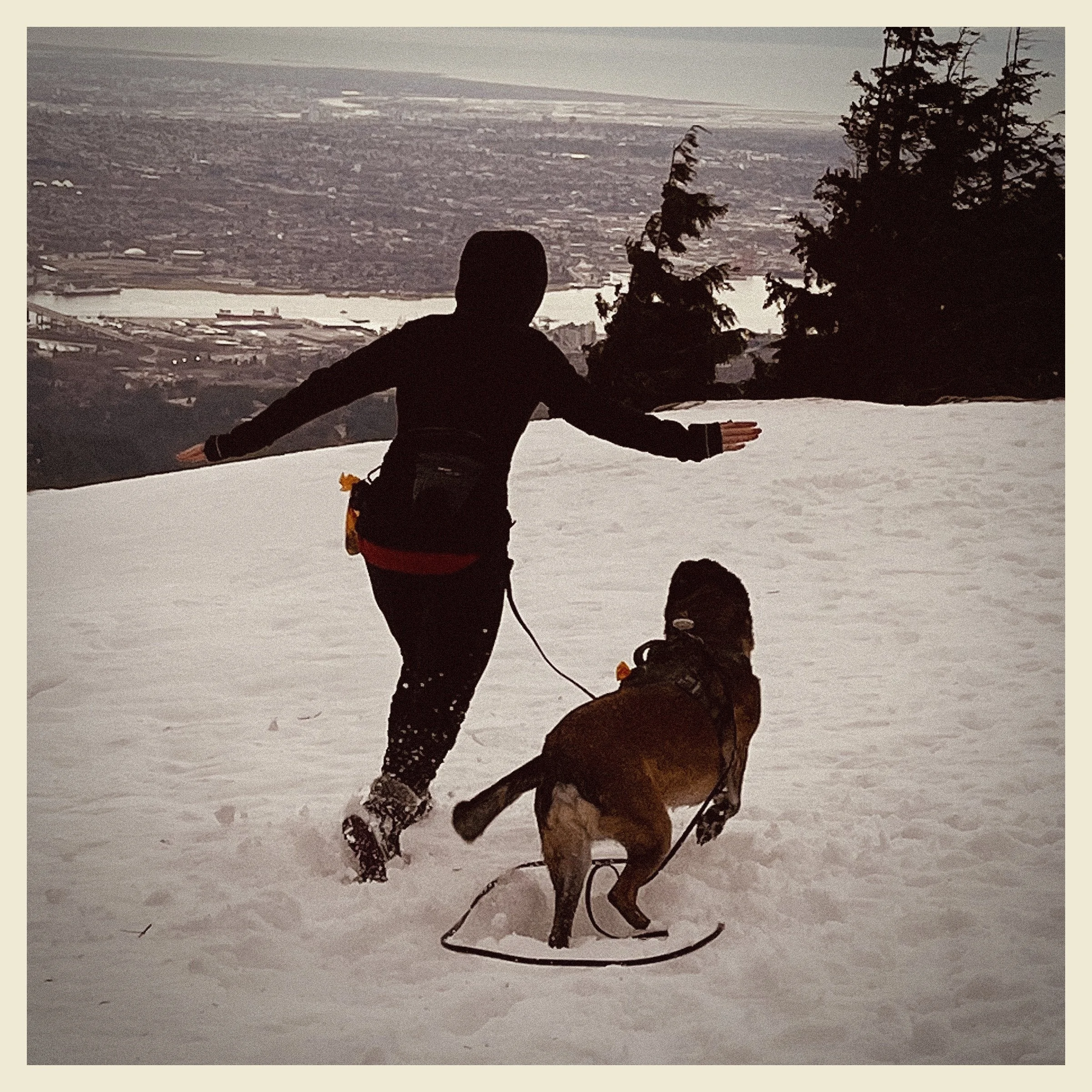 Person standing on snow with two sleds, facing a snowy landscape with trees and a city in the distance.