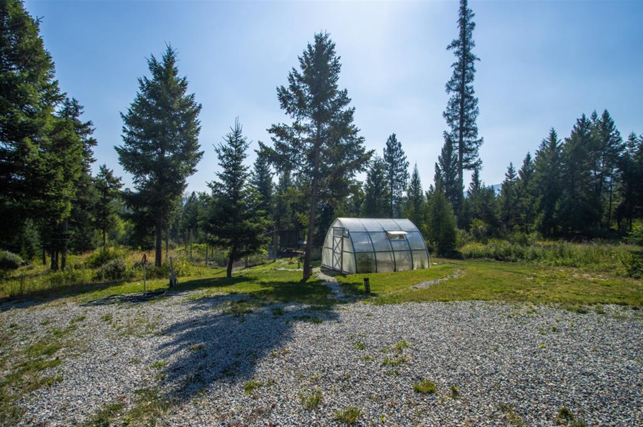 A greenhouse in a wooded area with tall pine trees, a grassy field, and a gravel path on a sunny day.