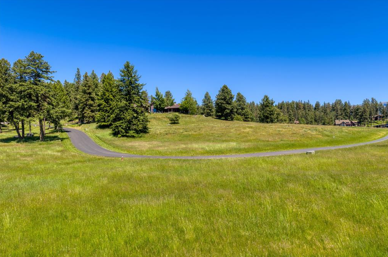 Green grassy field with a winding paved road and scattered trees, with houses and a dense forest in the background under a clear blue sky.