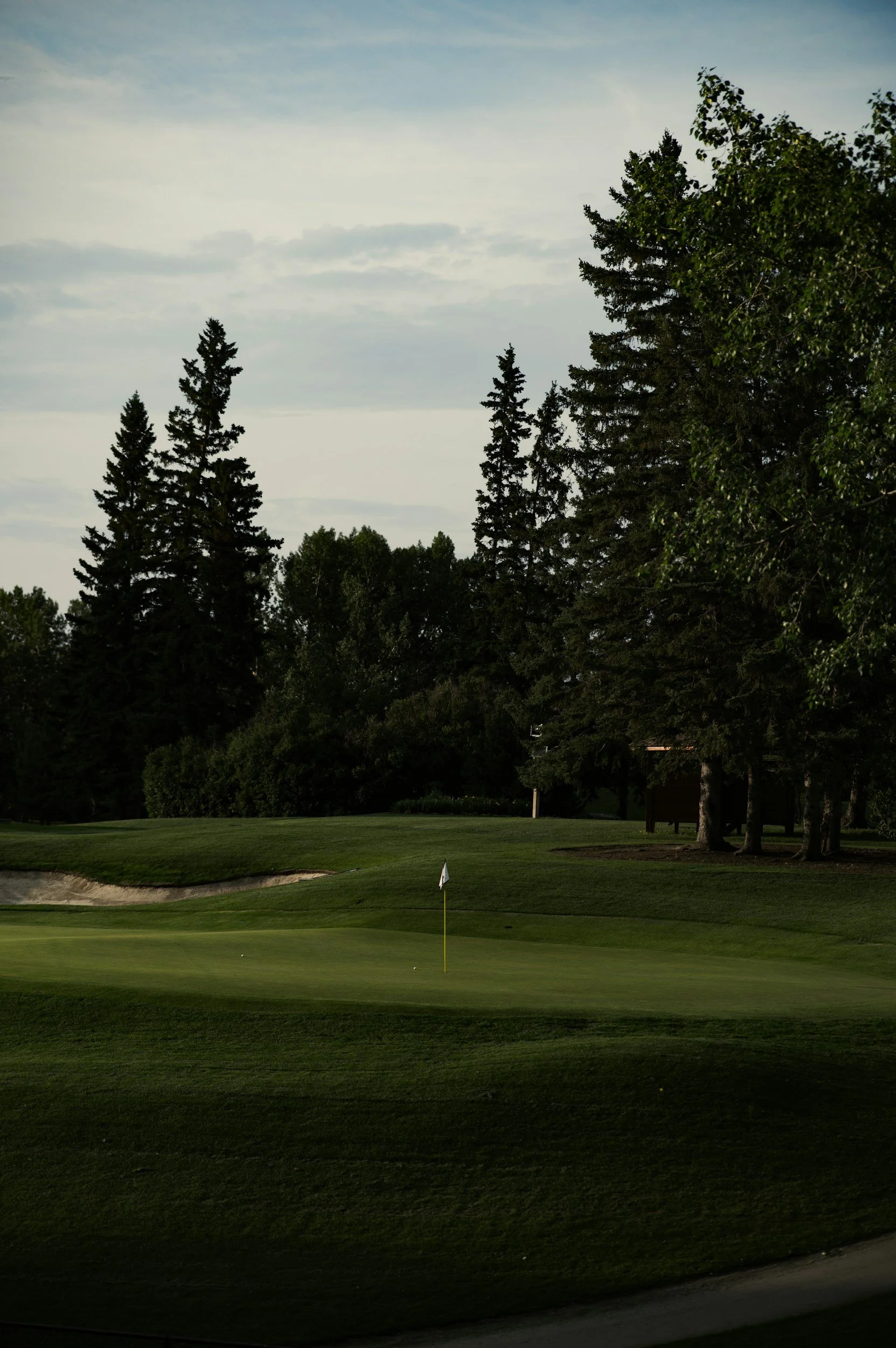 A view of a golf course with a putting green, flagstick, and trees in the background under a cloudy sky.