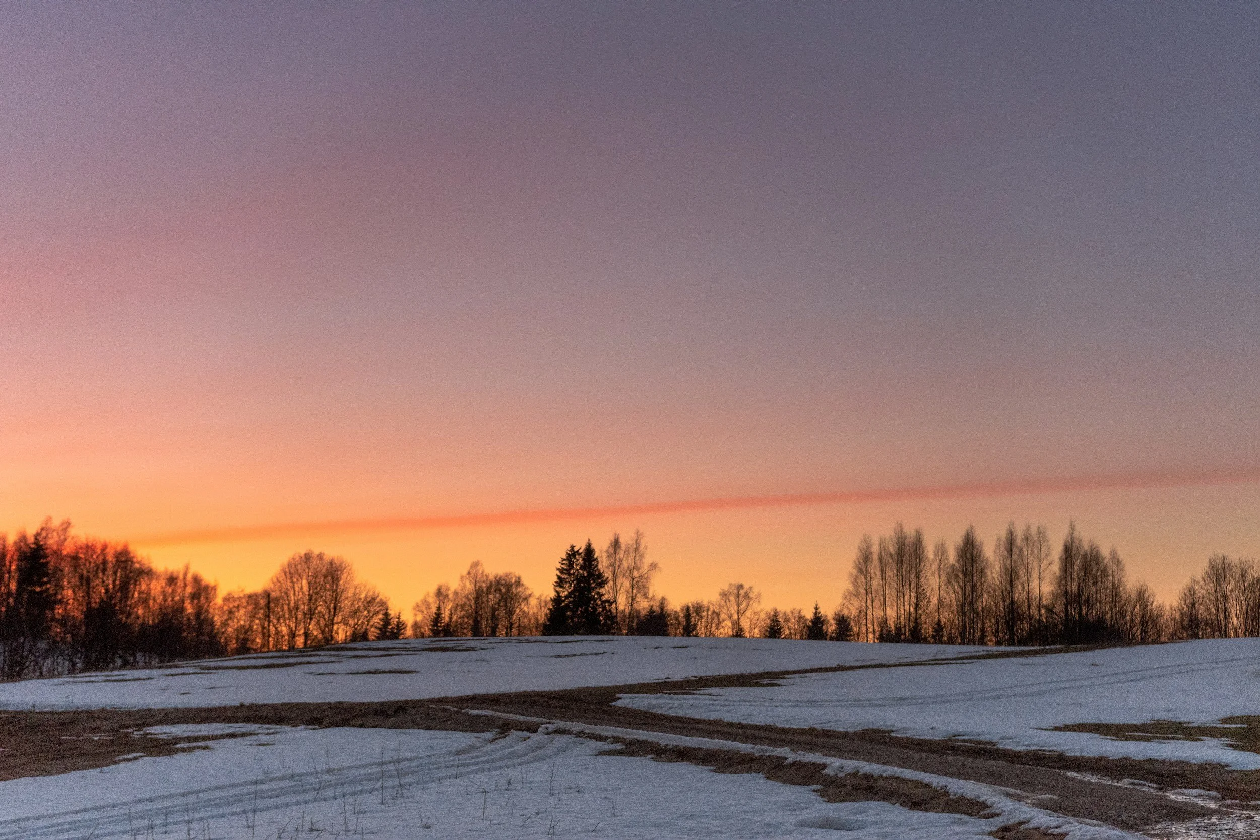 February 2026: The Calm Before the Storm