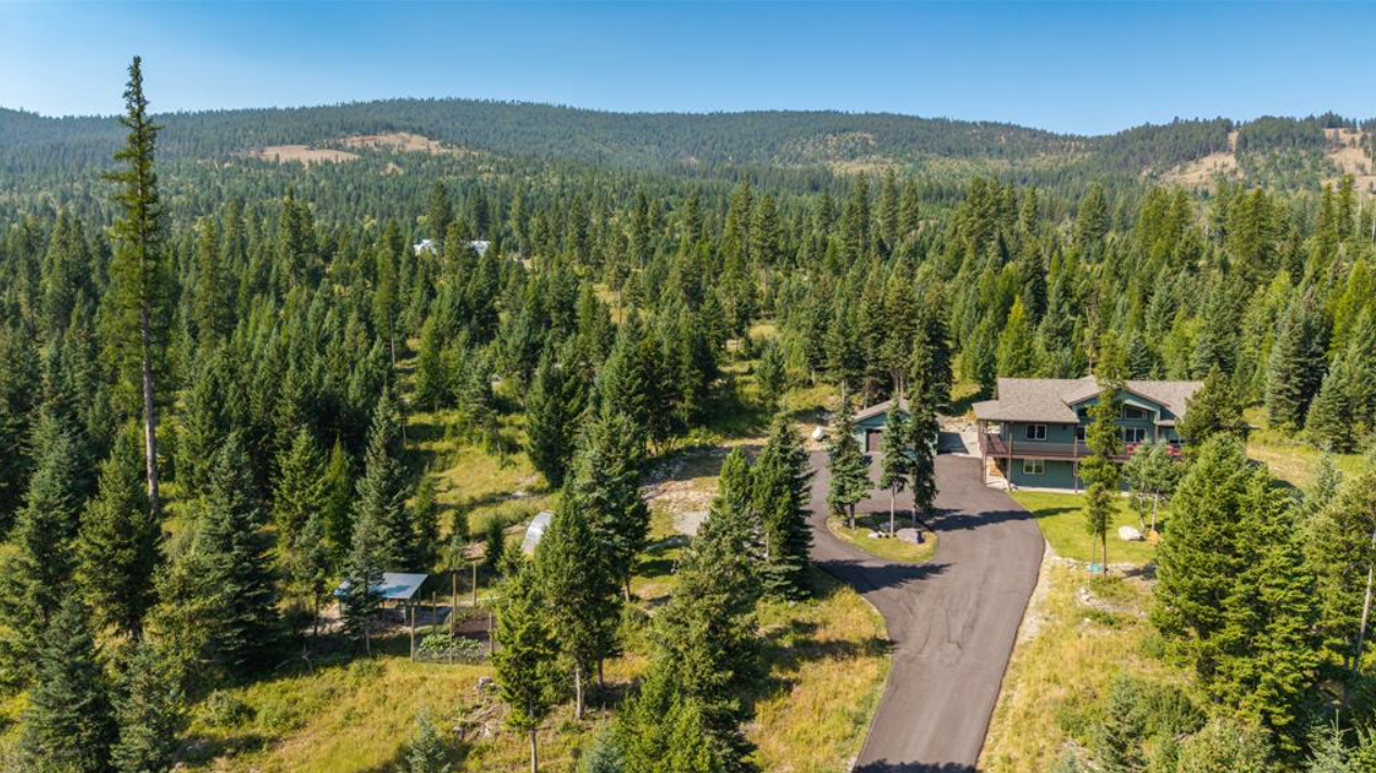 A house in a forested area with tall trees, a paved driveway, and surrounding greenery under a clear blue sky.