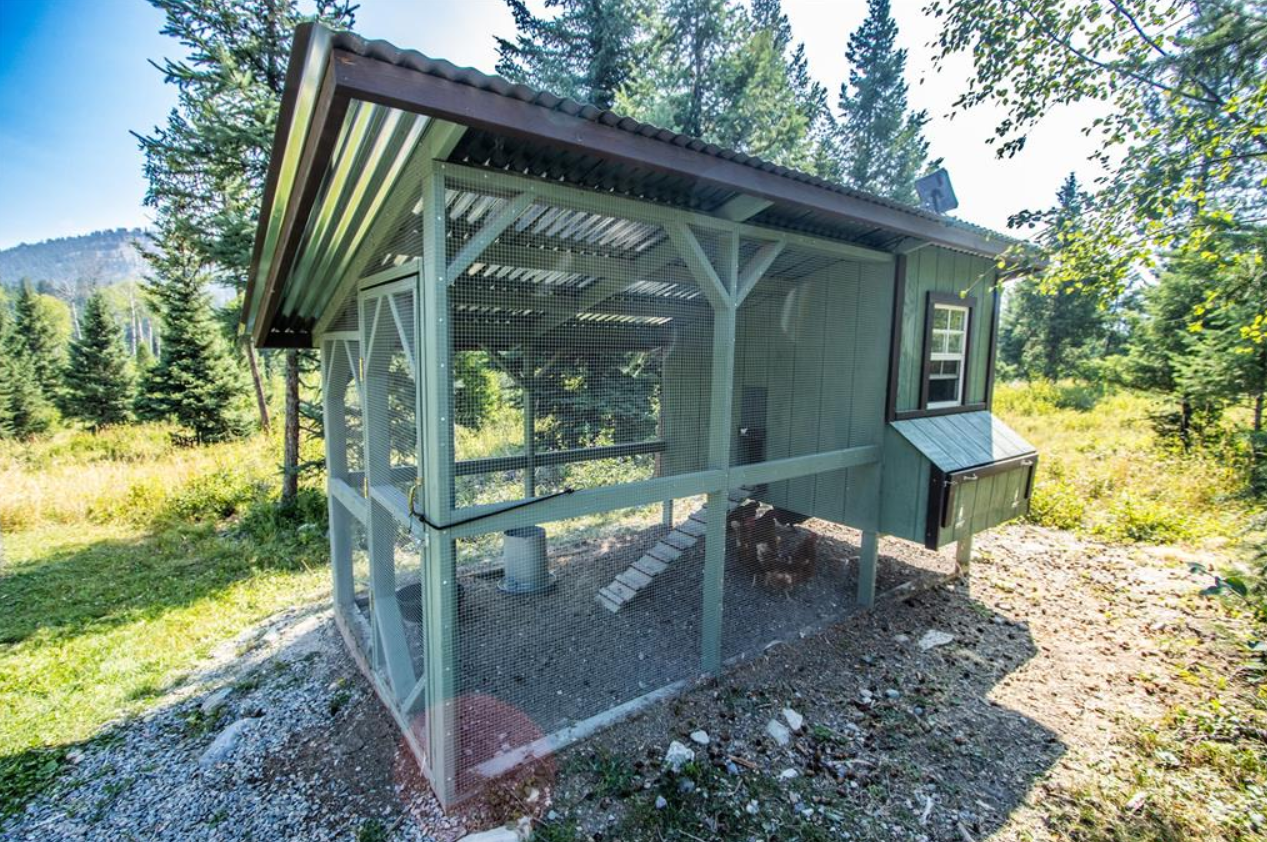 A small chicken coop with a metal roof on a grassy and rocky area, surrounded by trees and mountains in the background, with chickens inside.