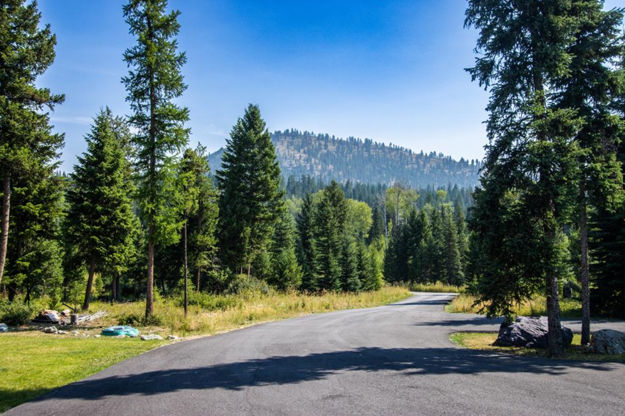 A winding asphalt road through a forested area with tall pine trees and mountains in the background under a clear blue sky.