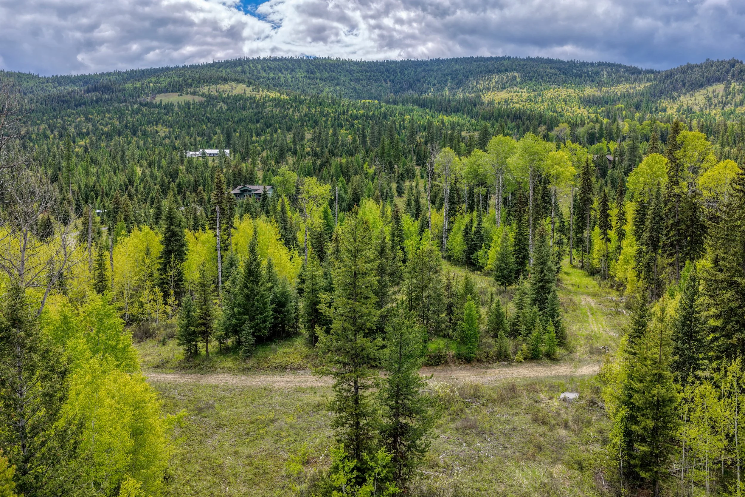 A scenic view of a lush green forested hillside with two houses, under a cloudy sky.