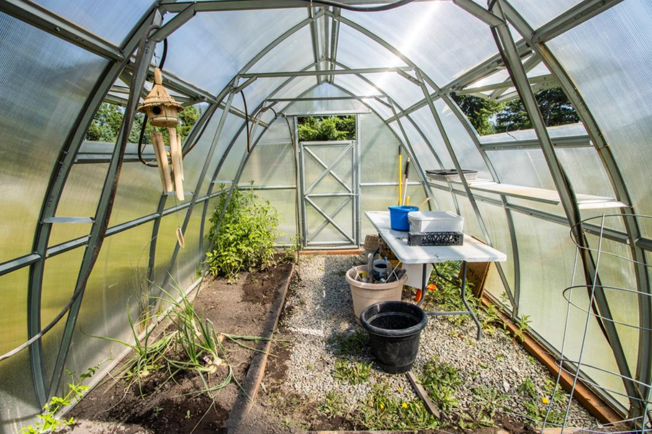 Inside a small greenhouse with a metal frame and transparent panels, showing gardening tools, potted plants, and a work table under a bright sky.