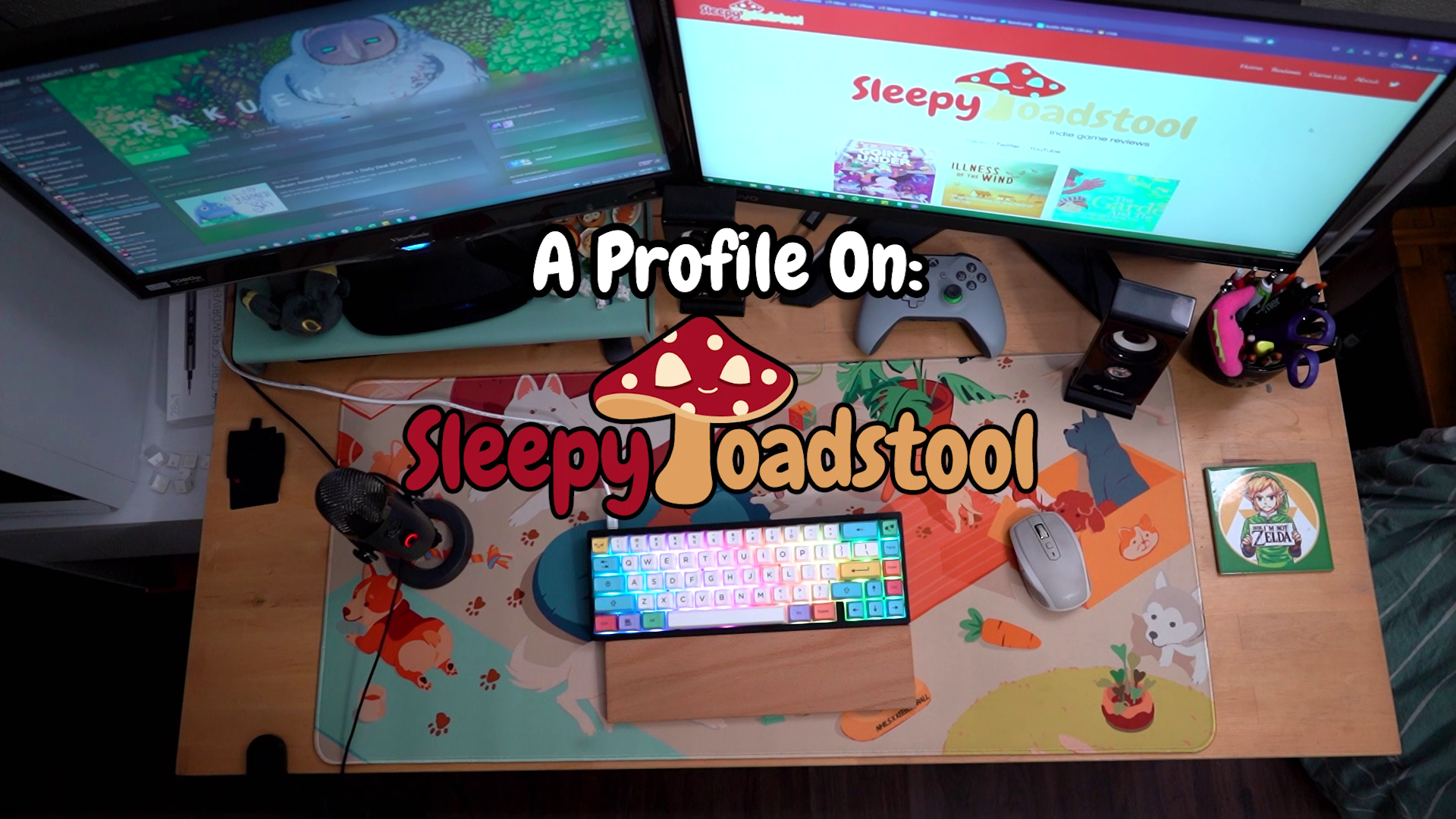 A Profile On: Sleepy Toadstool (2021)