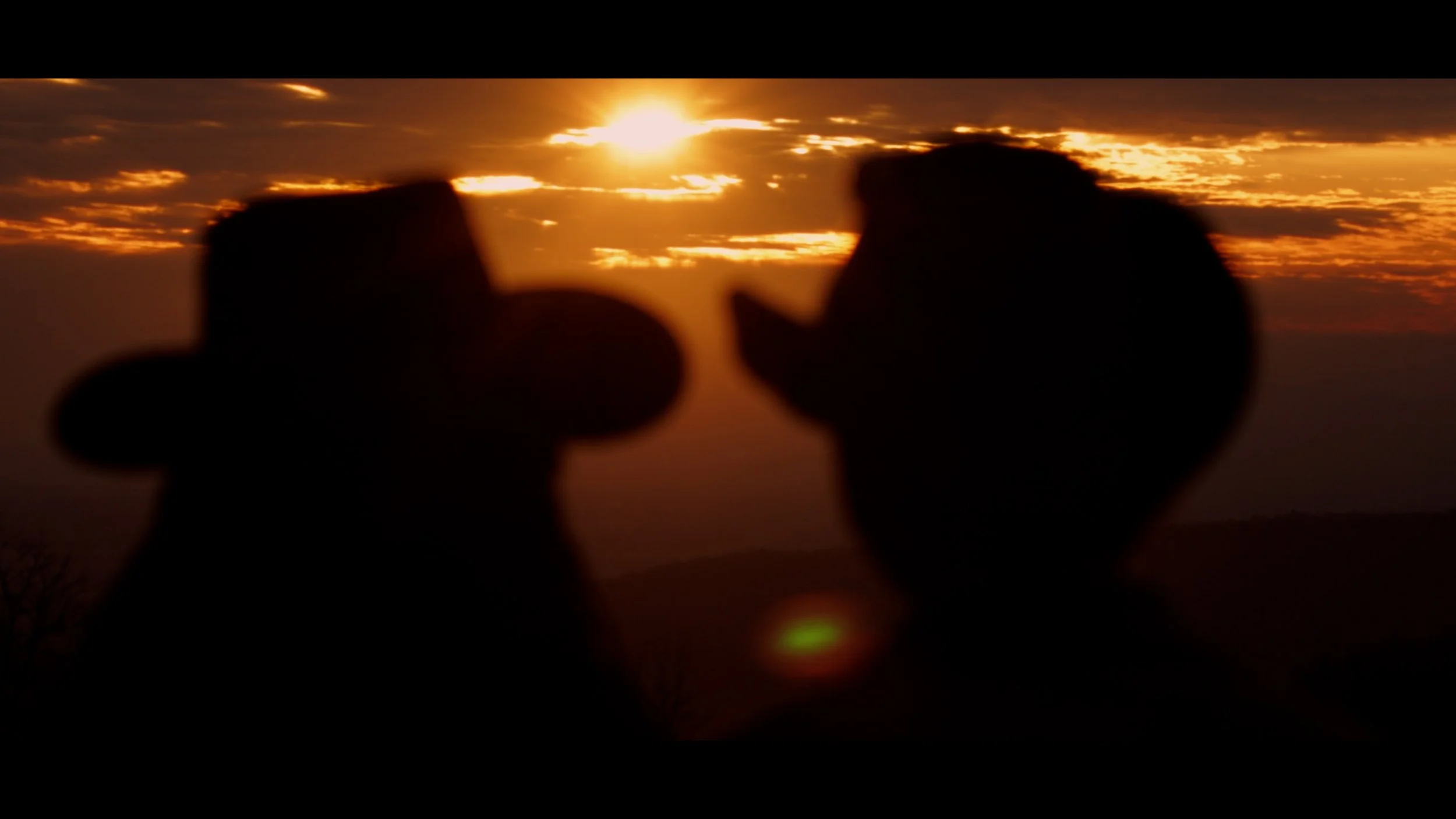 No theater cut.00_04_43_20.Still011.jpg