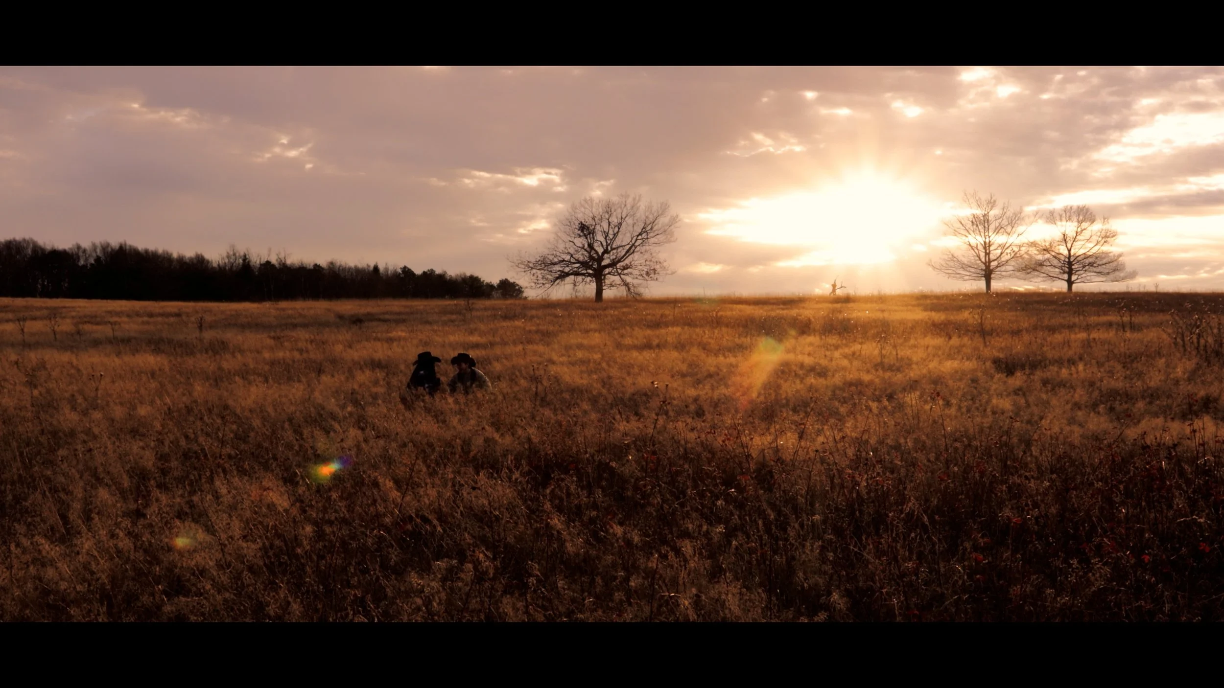 No theater cut.00_01_41_10.Still005.jpg