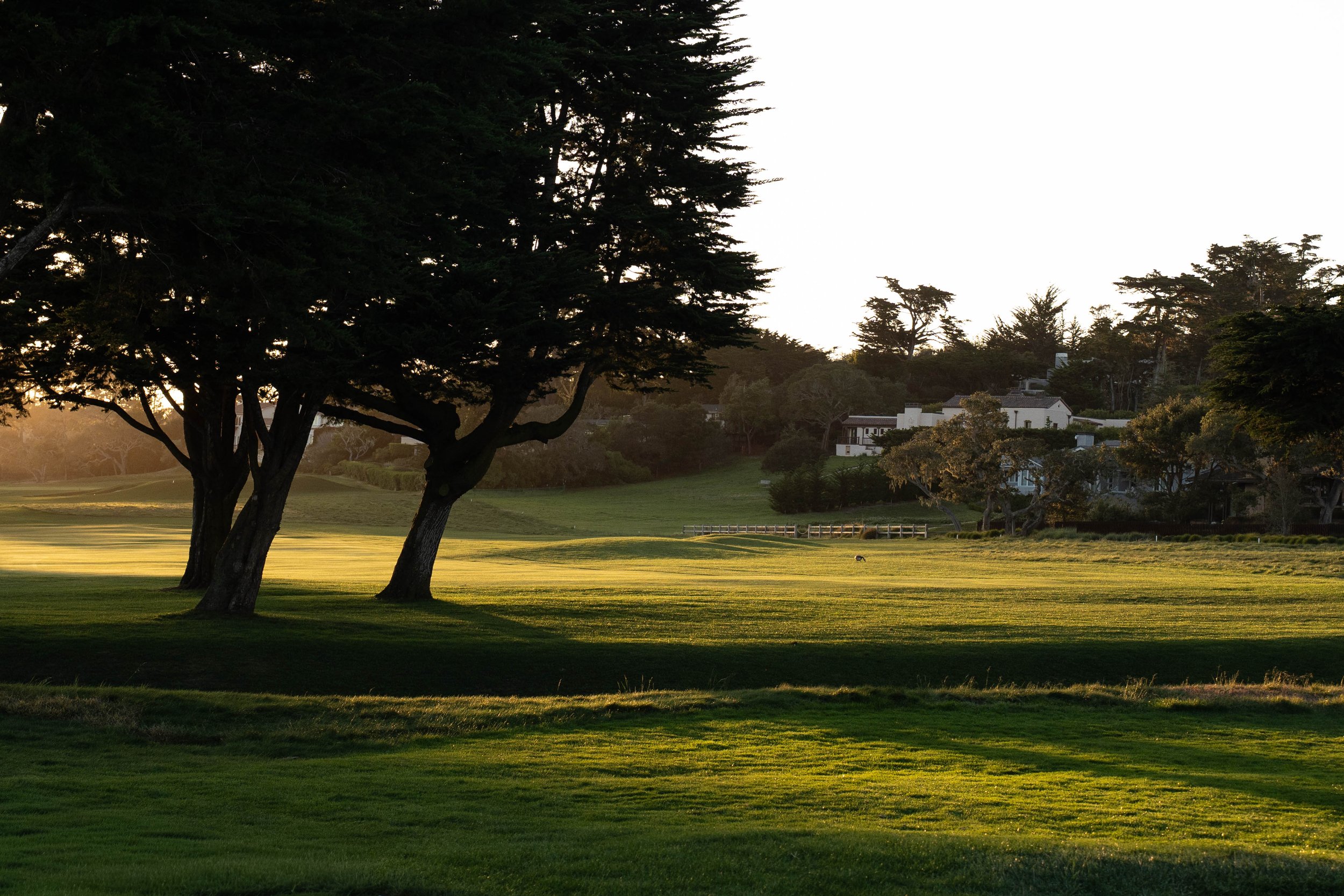 Pebble Beach Golf Links at golden hour. 
