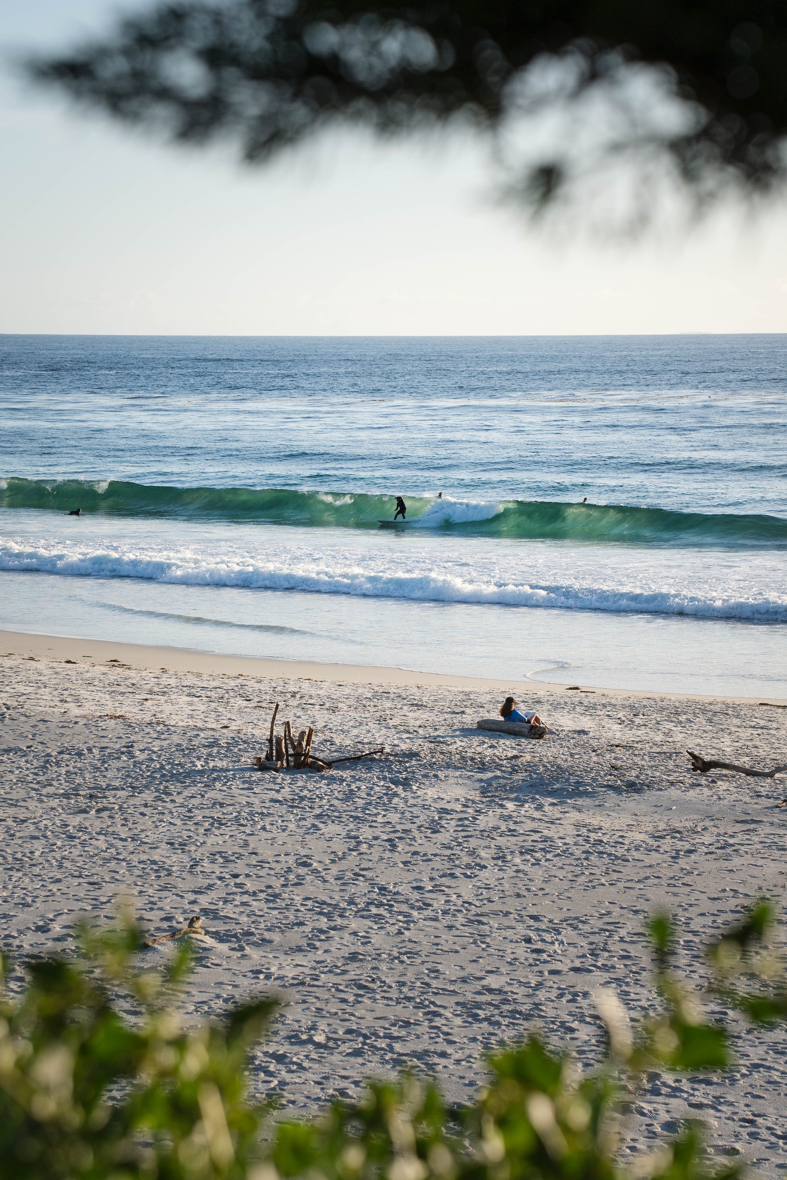 Surfers gather at sunset in Carmel-By-The-Sea (10 min drive from house). 