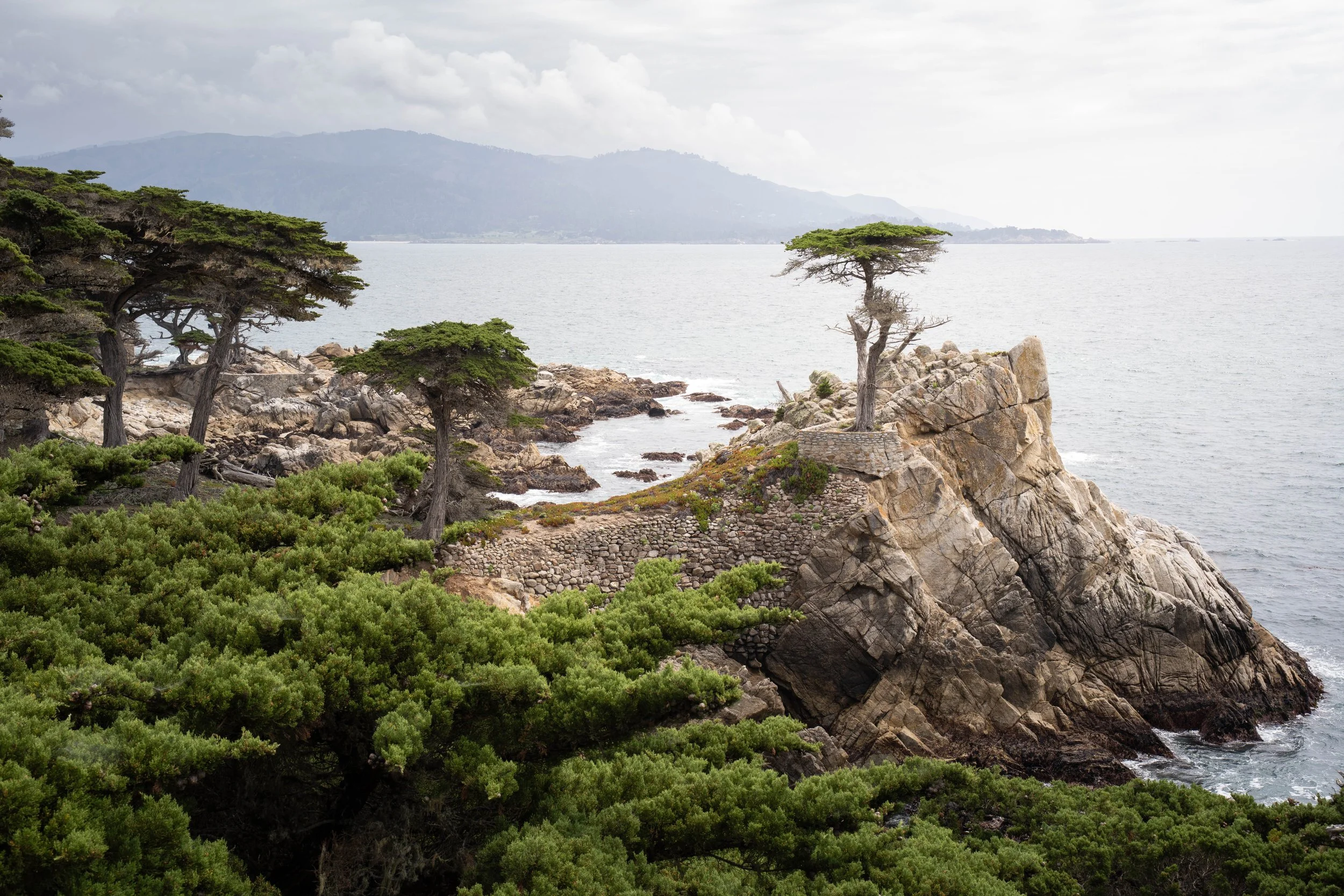 Coastal scene with large trees and rocky cliffs overlooking the ocean, with mountains in the background and cloudy sky.