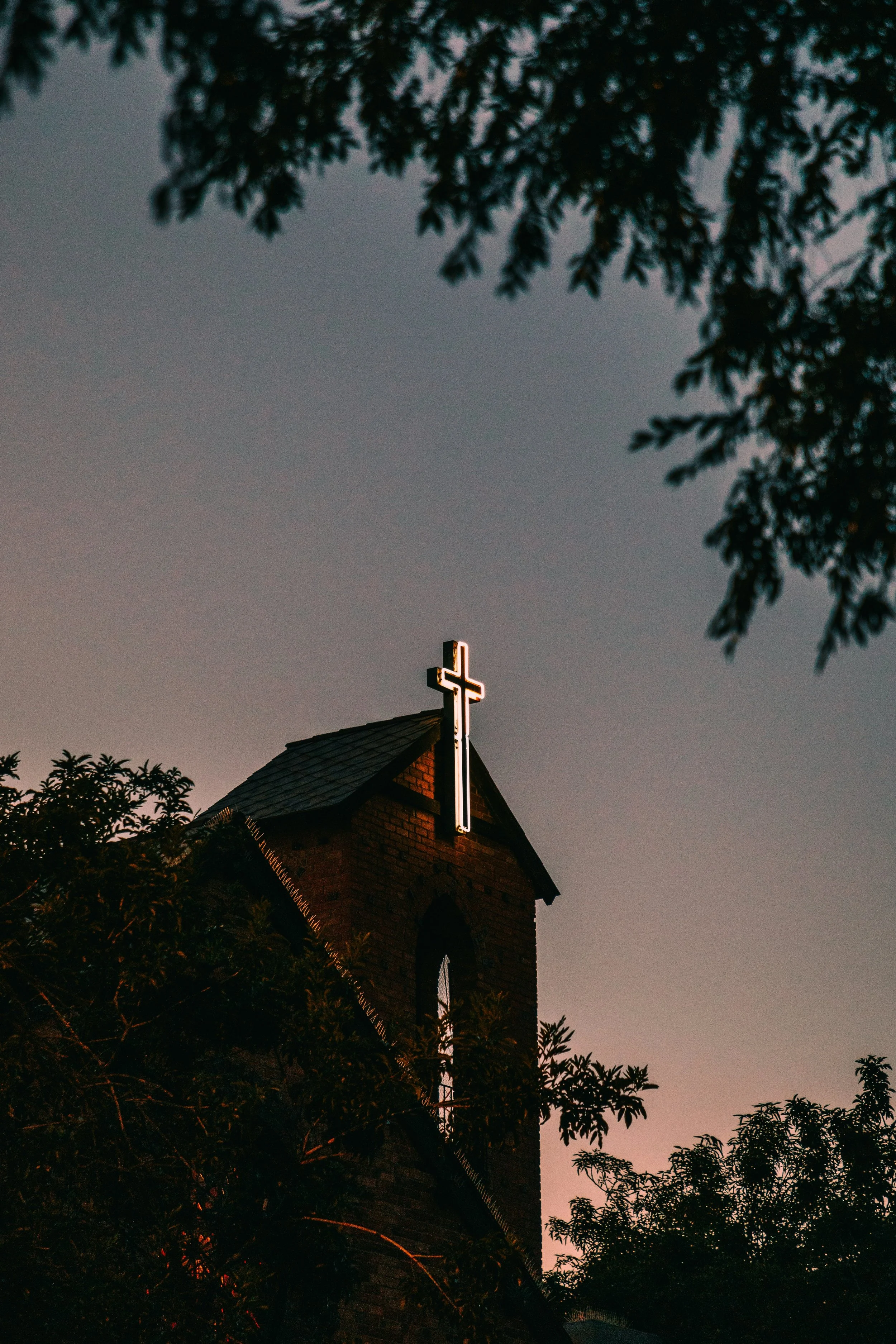 A church steeple with a lit cross at dusk, partially obscured by trees, against a darkening sky.
