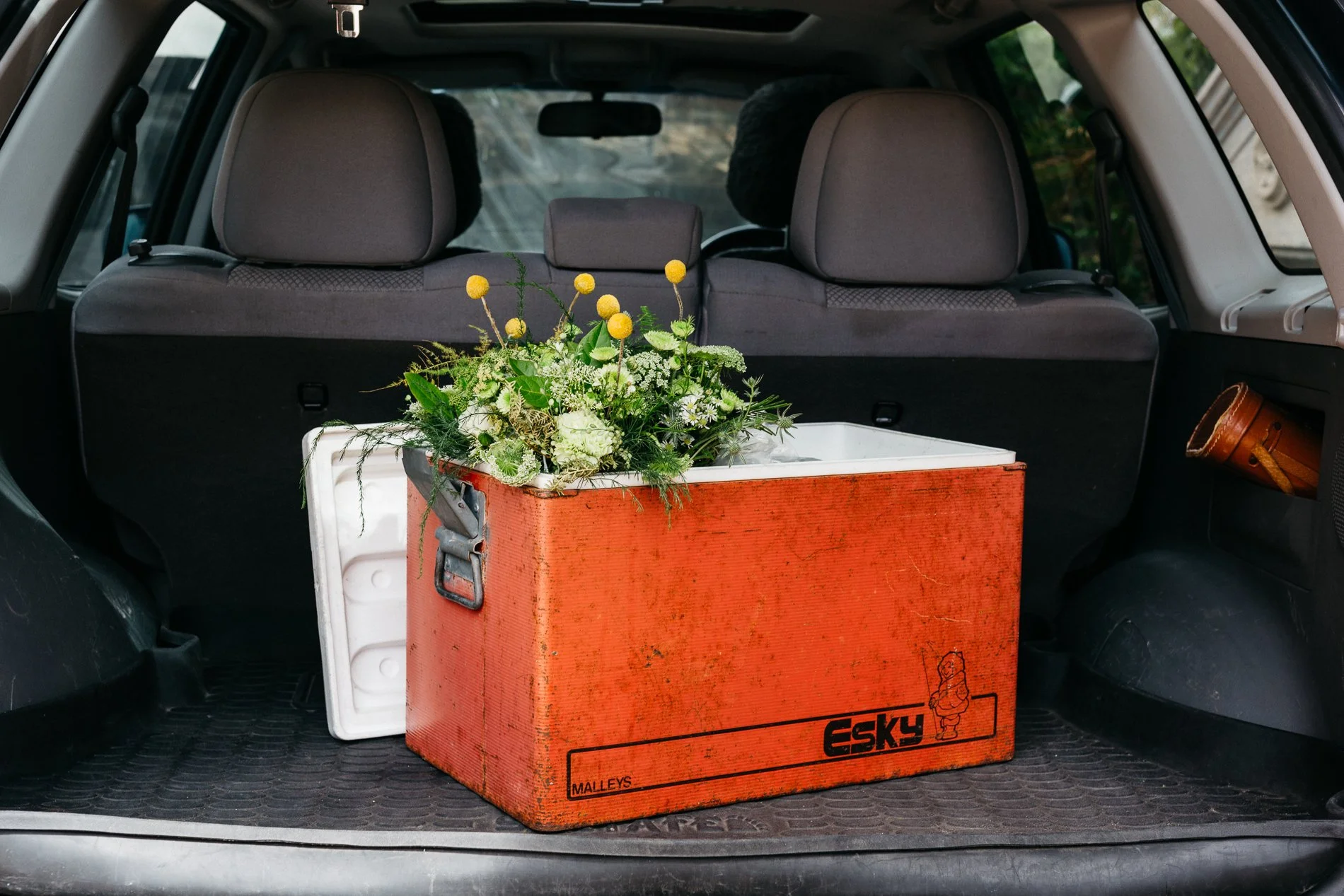 Andre Castellucci_0693.JPEG