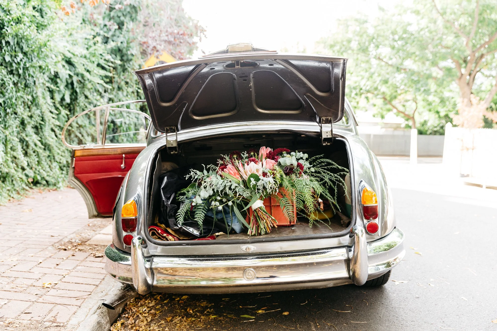 Andre Castellucci_0685.JPG