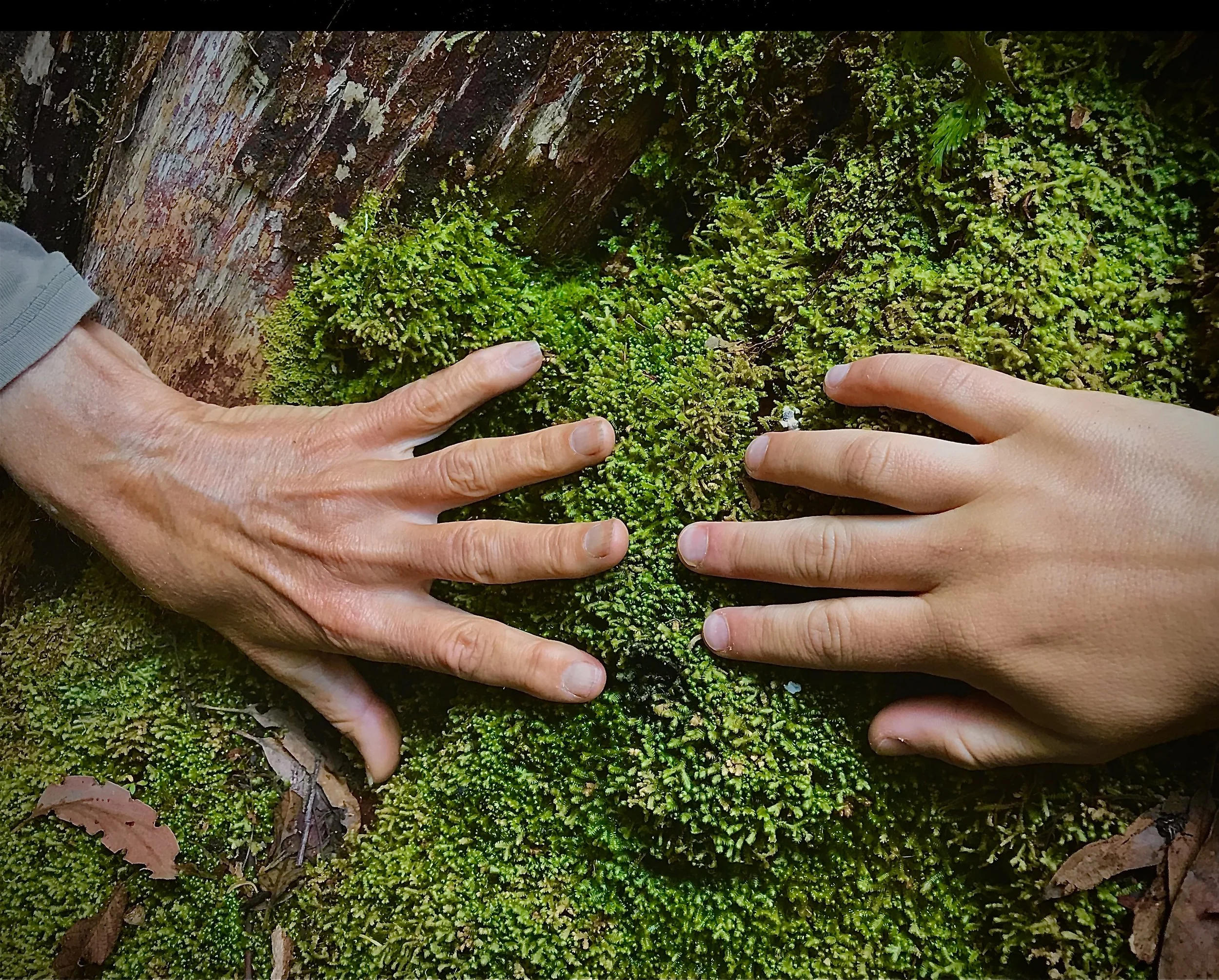 Welcome to Planet Song, 10 years in the future