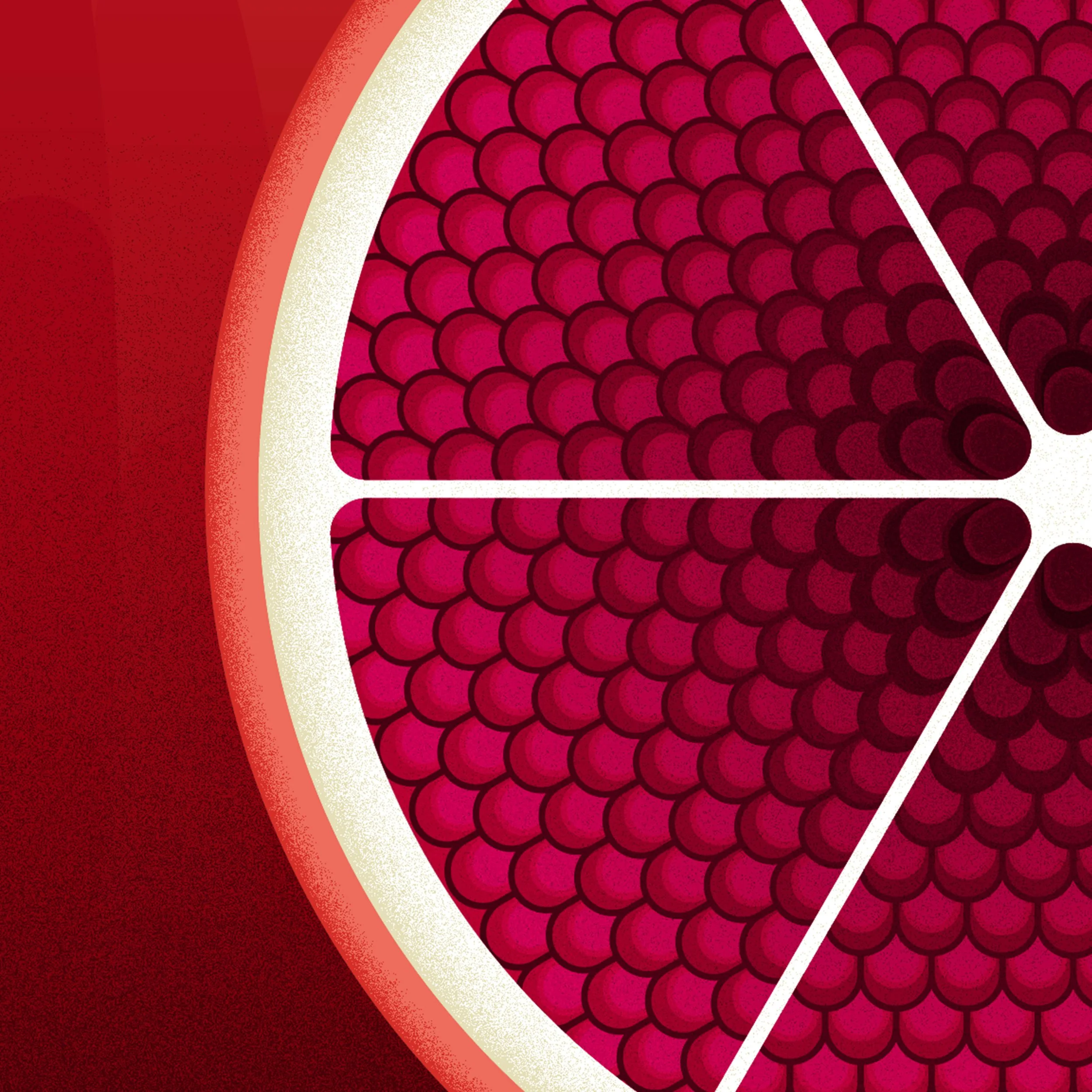 Pomegranate_Listing_6.jpg