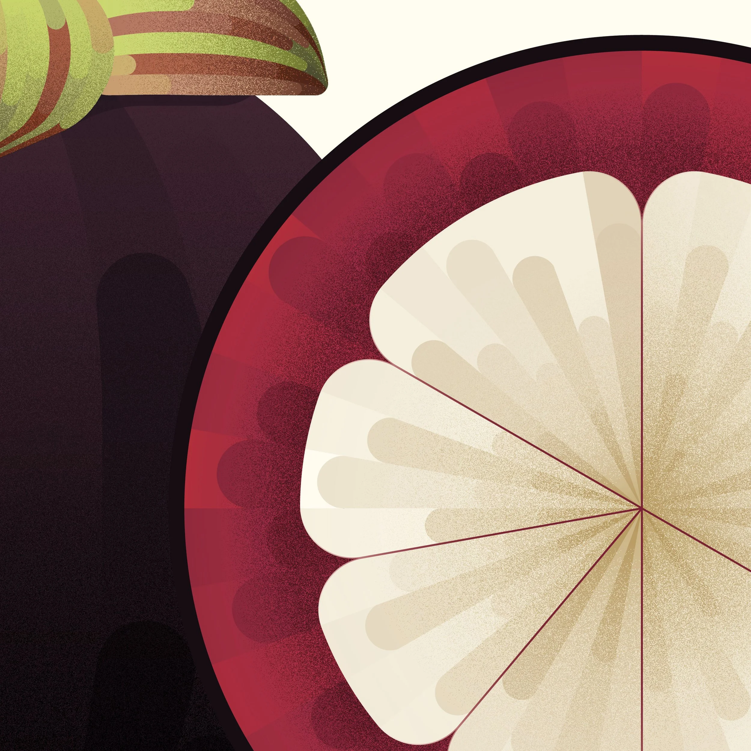 Mangosteen_Listing_6.jpg