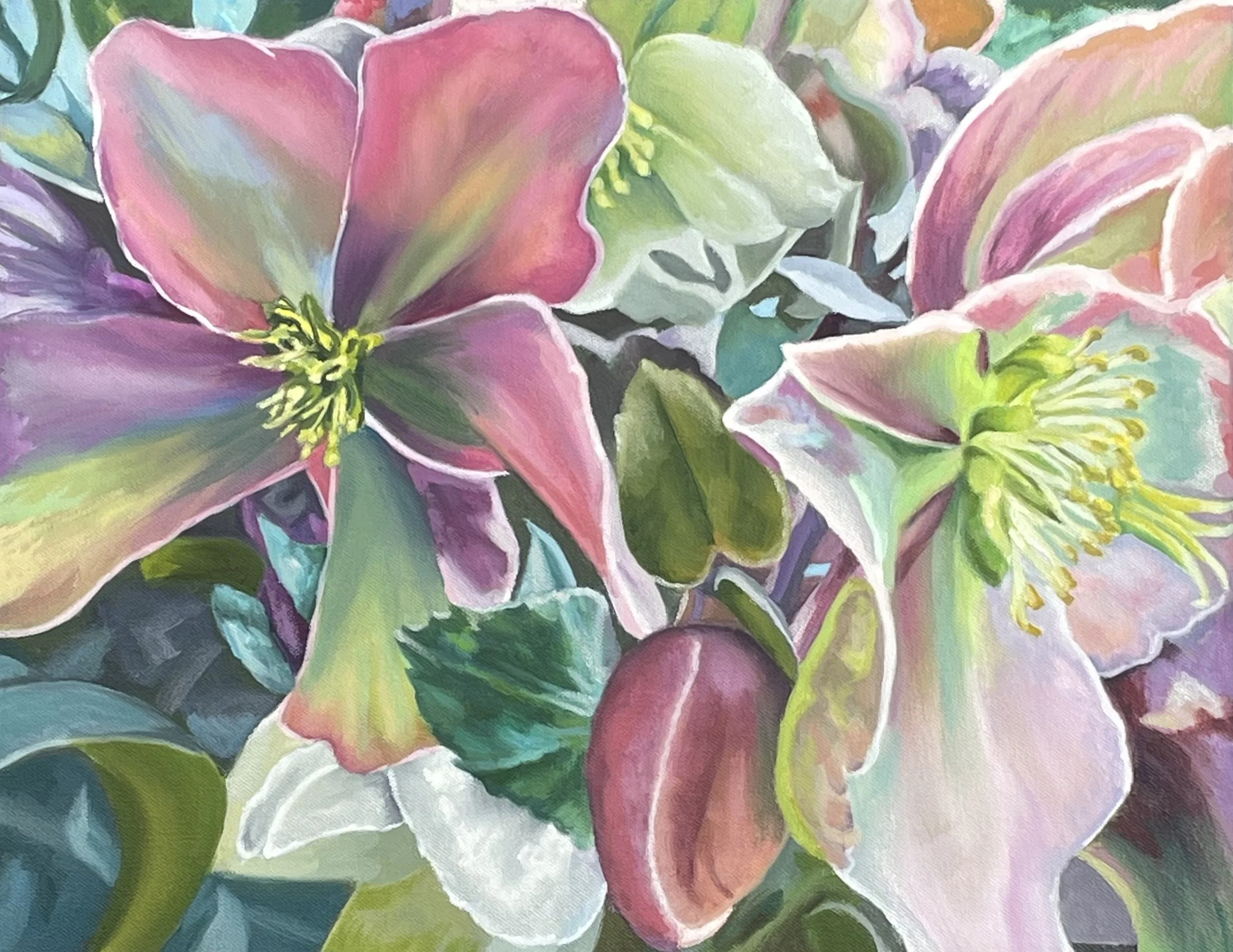 Hellebores 14x18” oils (varnished) .jpeg