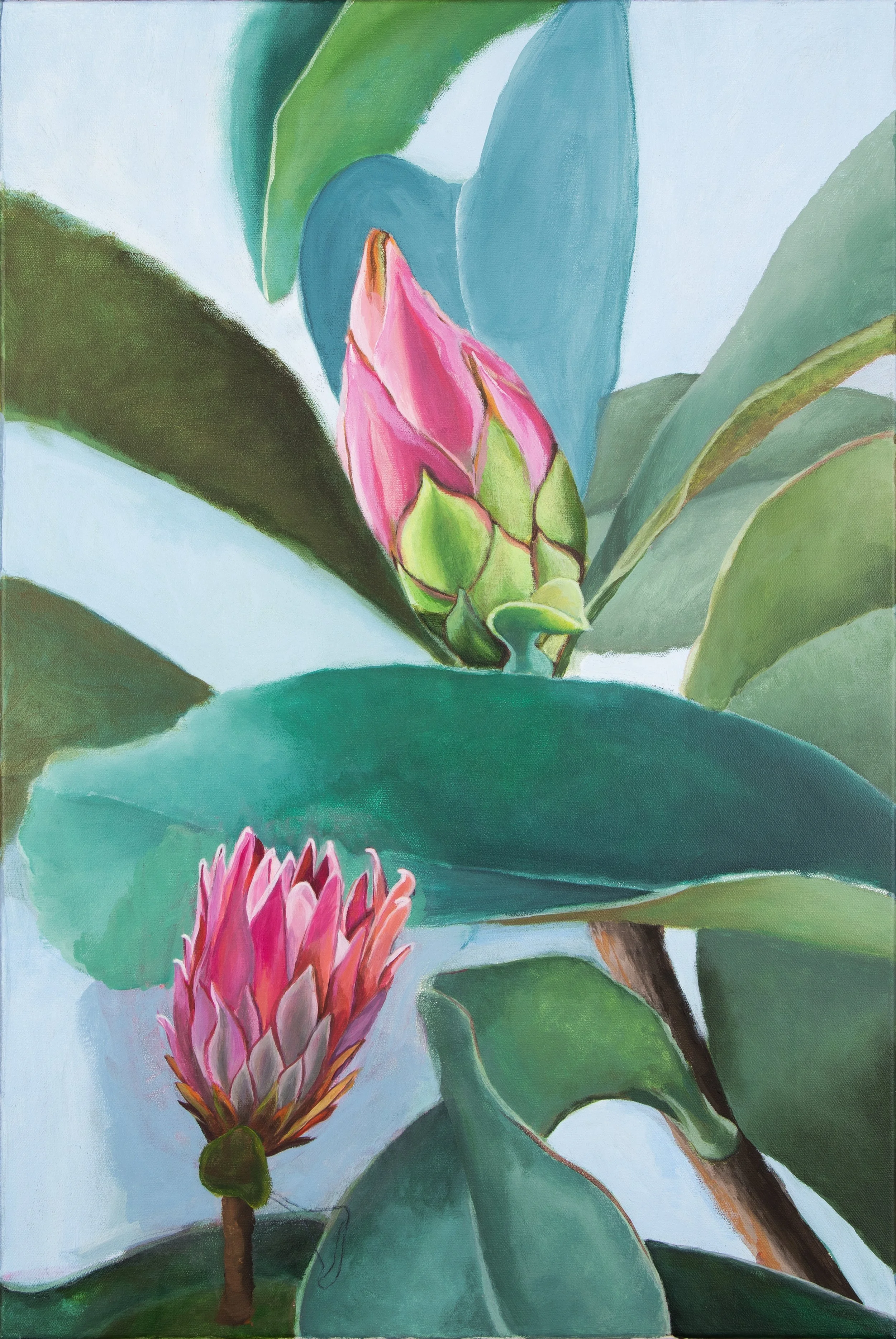 Protea, acrylic, 18x24”.jpg