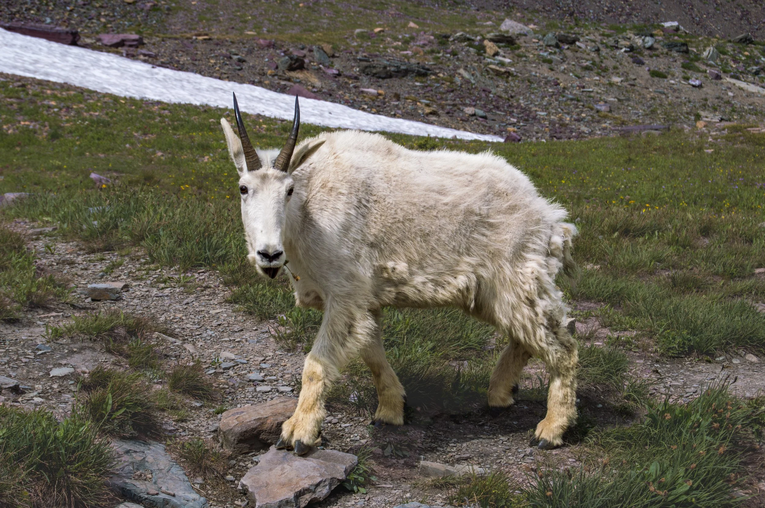 DSC_0317.JPG