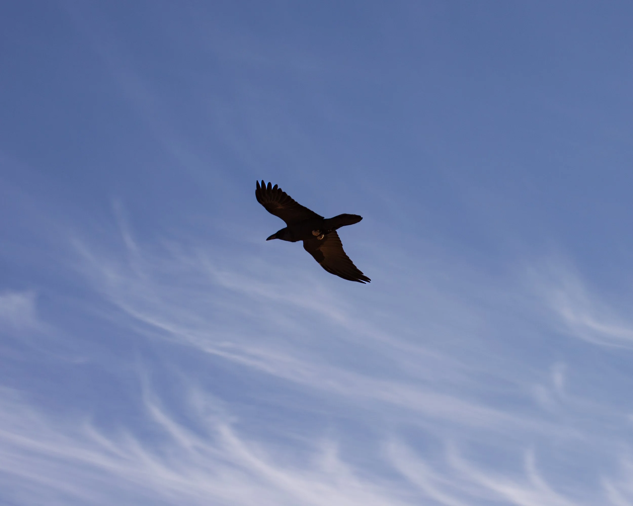 DSC_0953.jpg