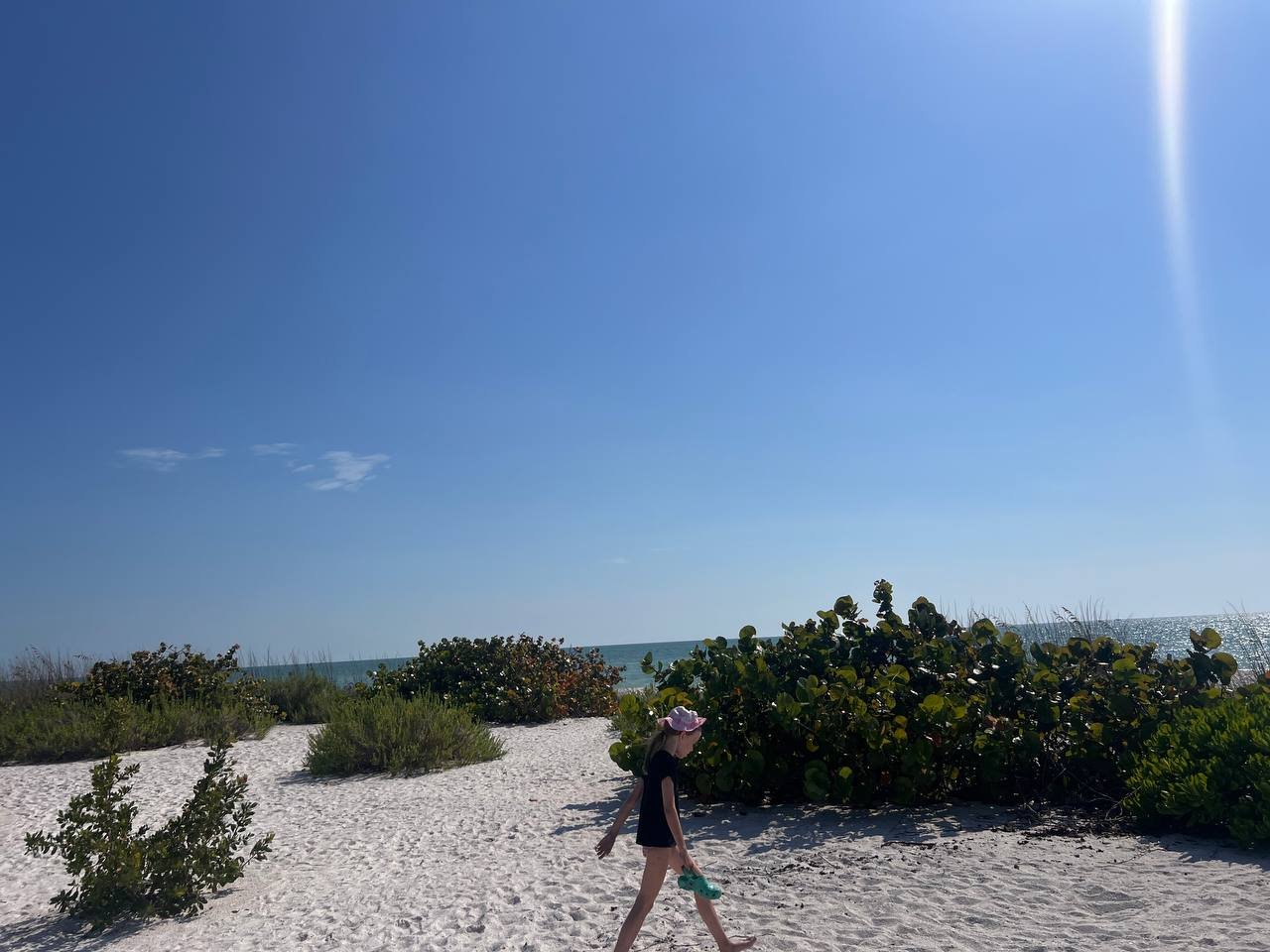 The Beach You Have to Earn: A Day at Tigertail, Marco Island