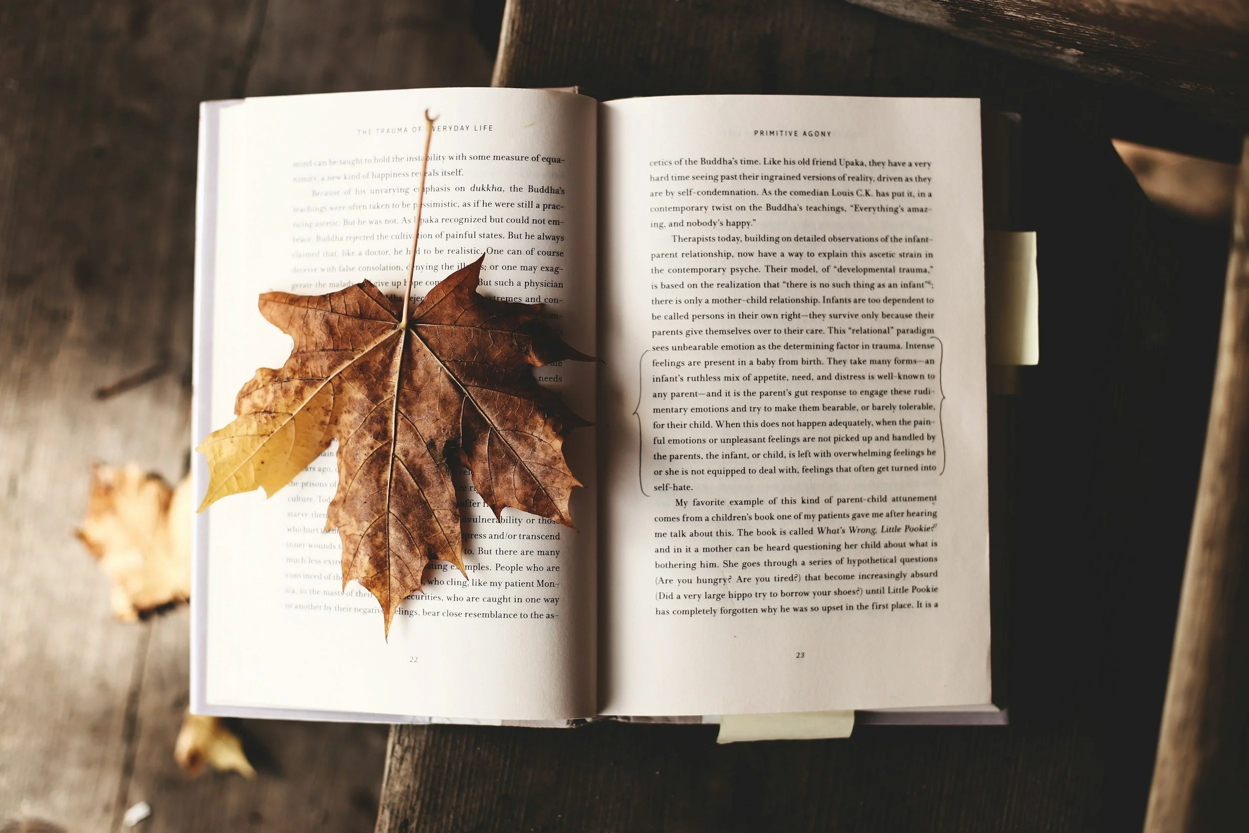 Open book with brown autumn leaves on pages, resting on a wooden surface.