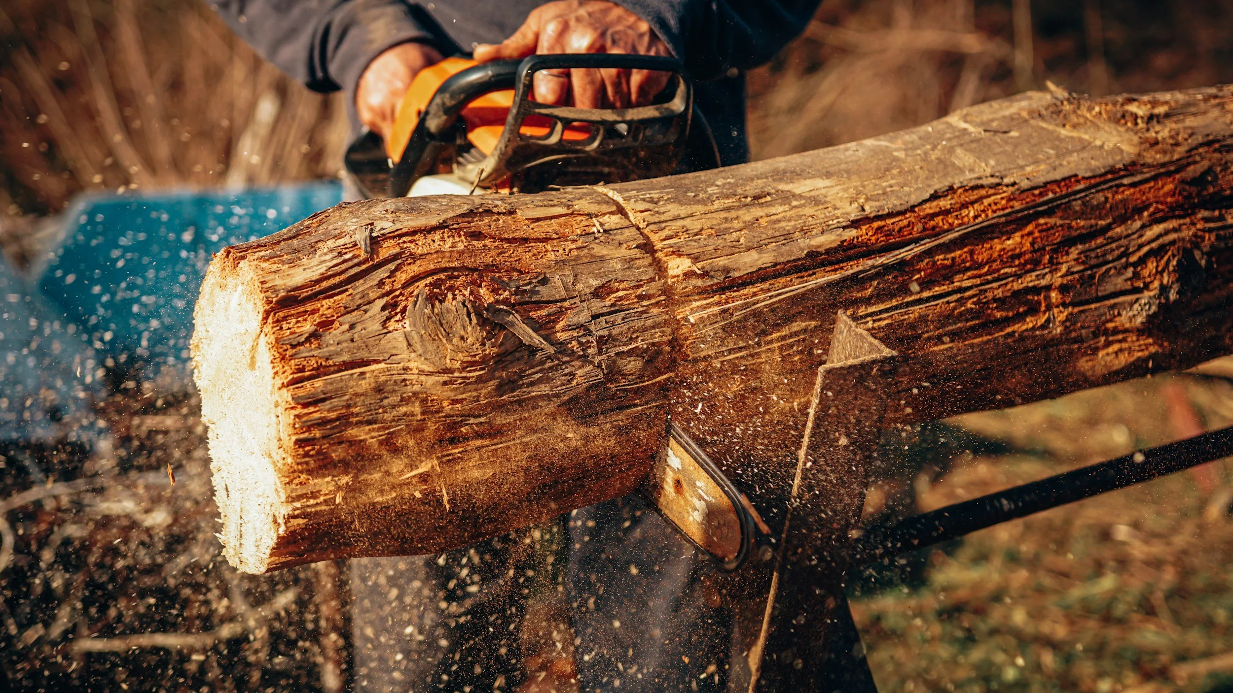 Person cutting a large log of wood with a chainsaw outdoors.