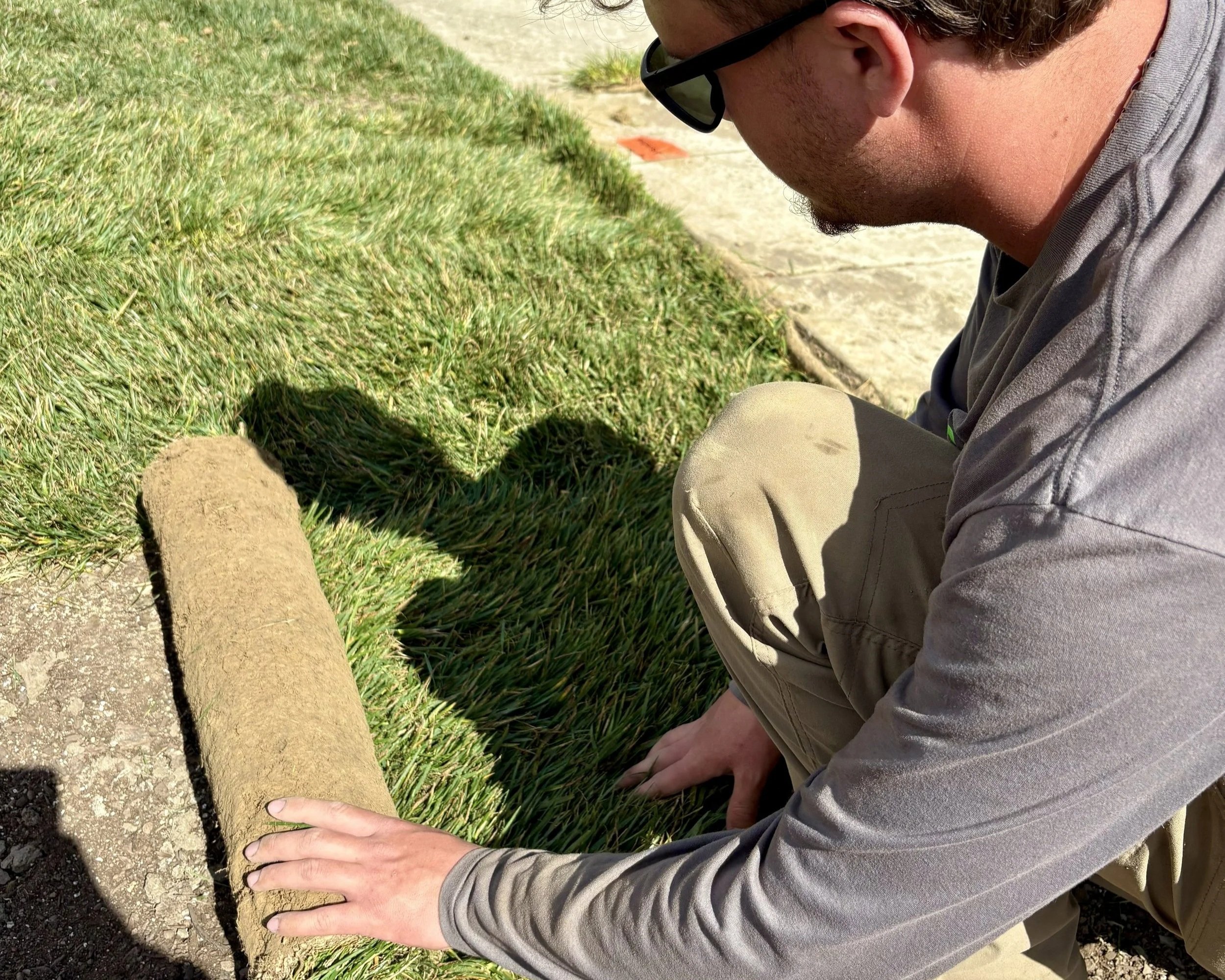 A man kneeling on the grass, unrolling a layer of sod on a new landscape bed.