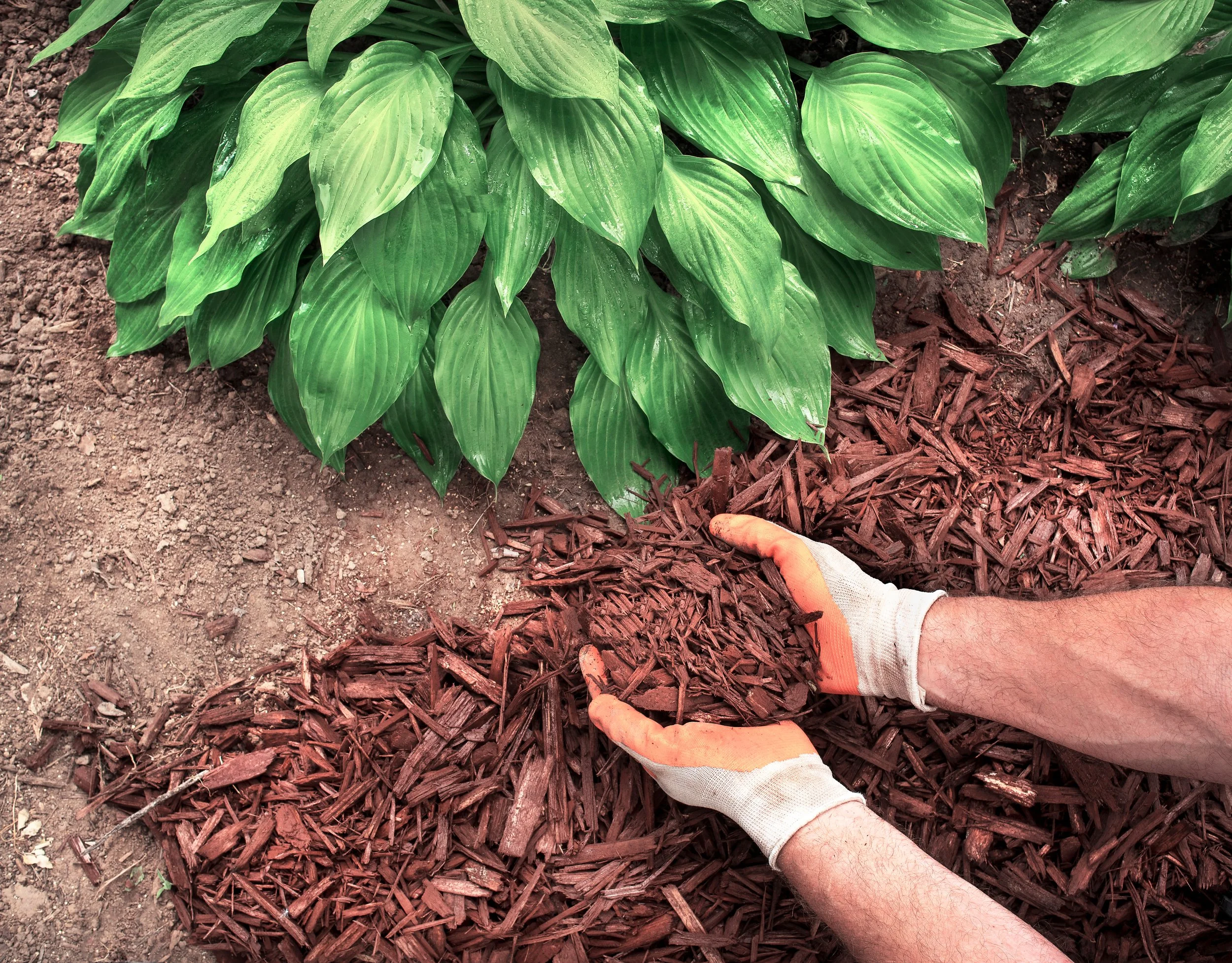 Looking for mulch, Installation, Windsor Ontario
