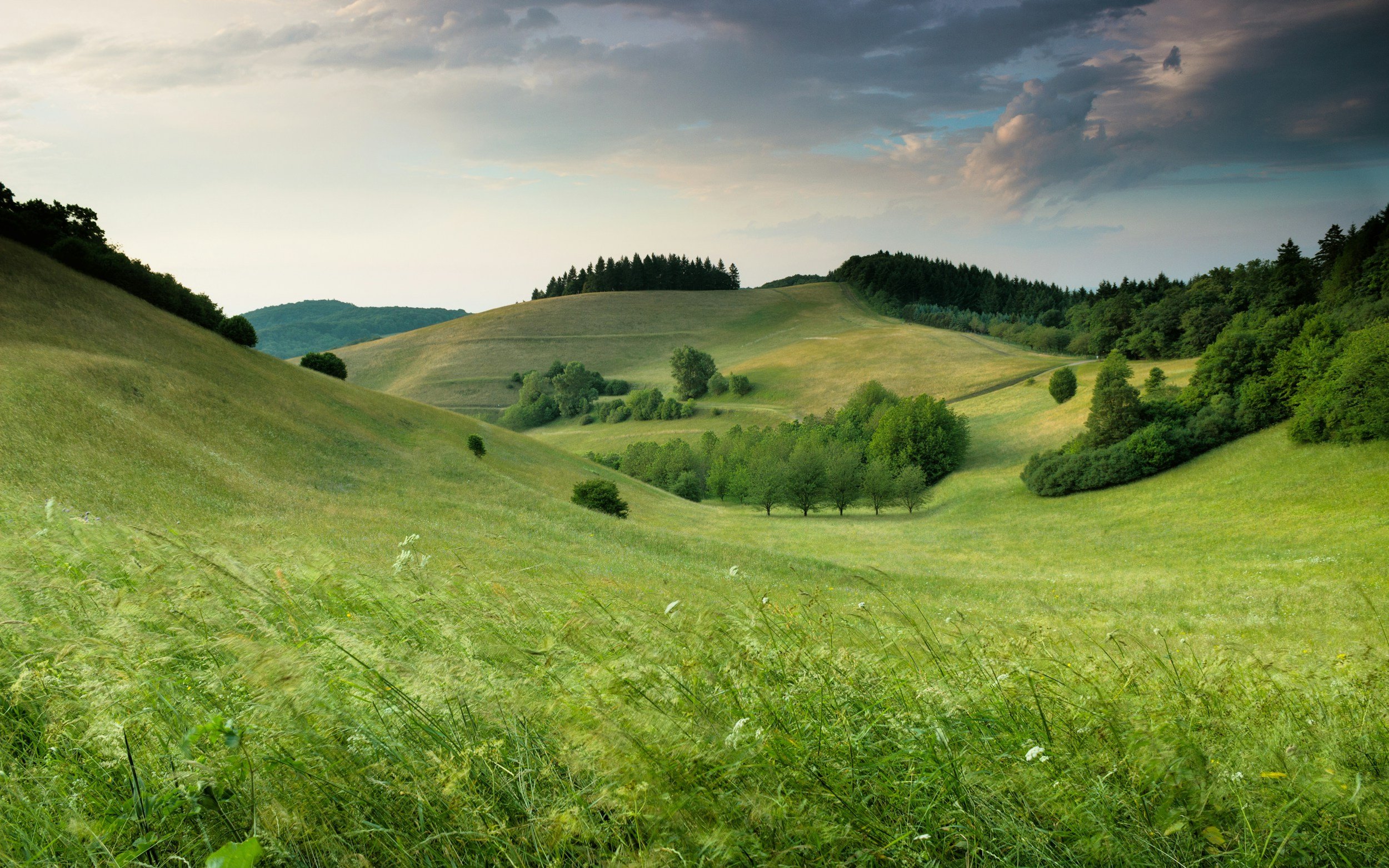 Rolling green hills with scattered trees under a cloudy sky.