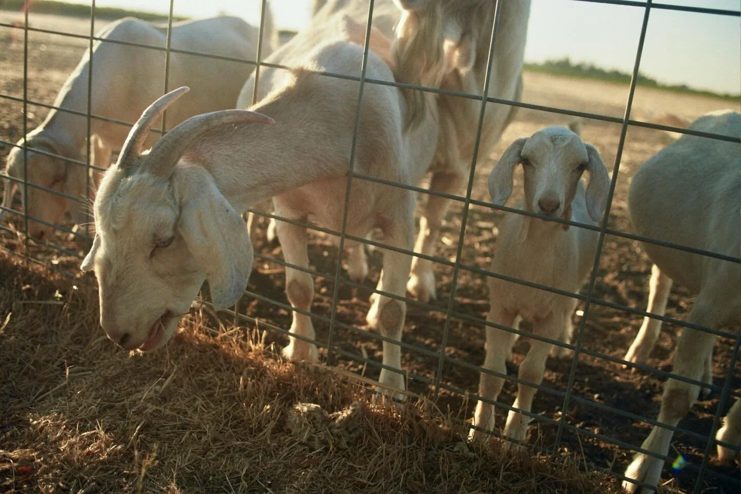 Snippets from September 2025 to January 2026 | Fujifilm 200 &amp; Ilford HP5 Plus