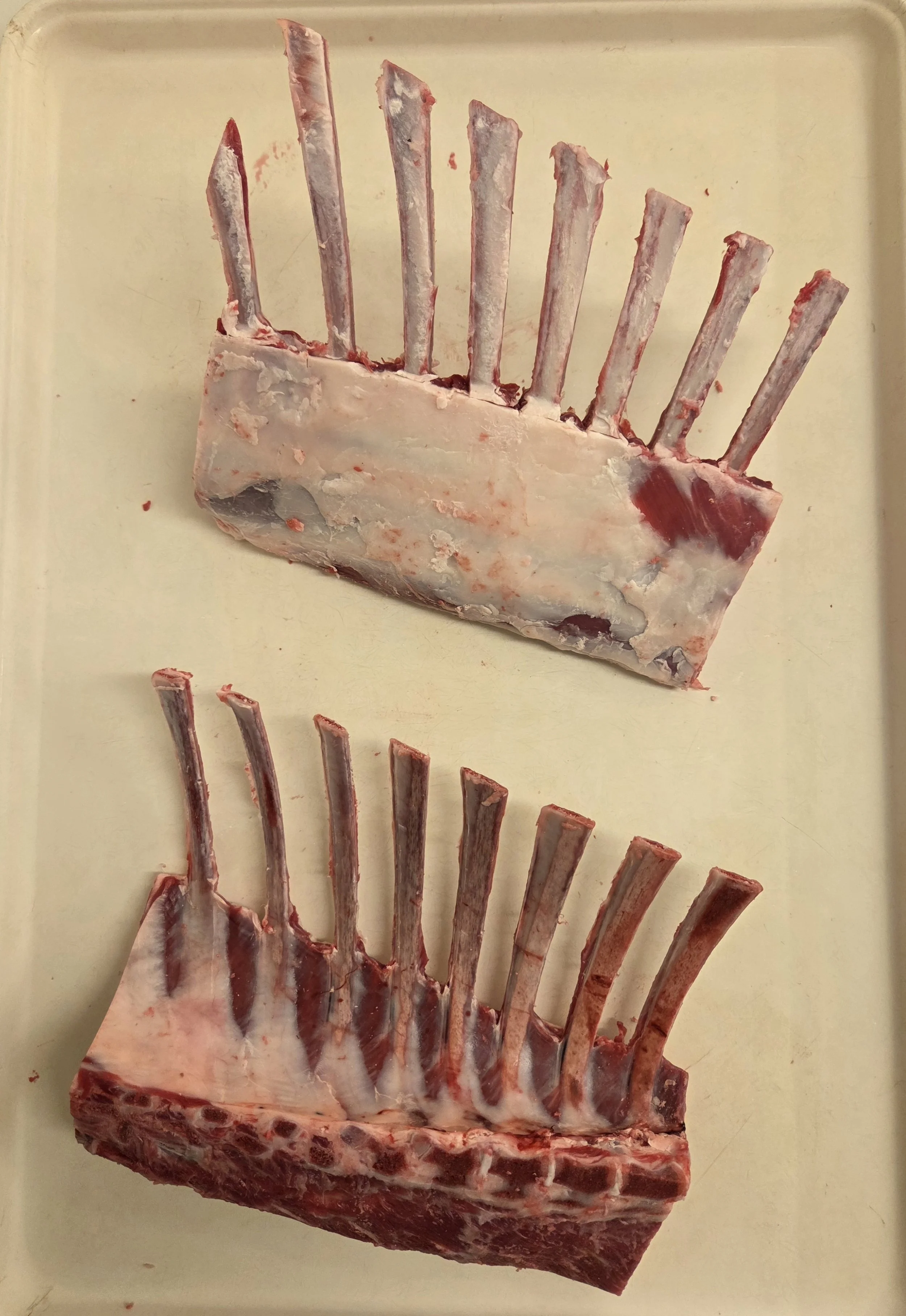 Rack of Lamb (French style)($10 fee)