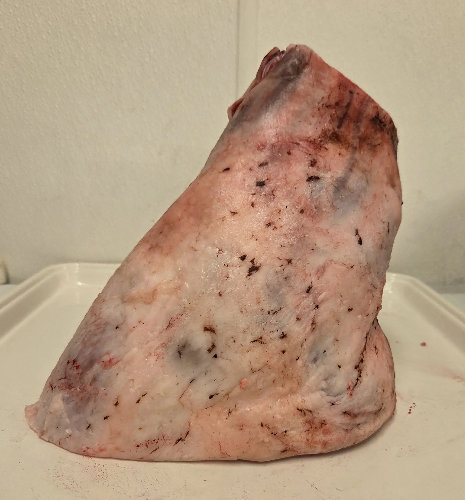 Pork Shoulder (picnic roast)