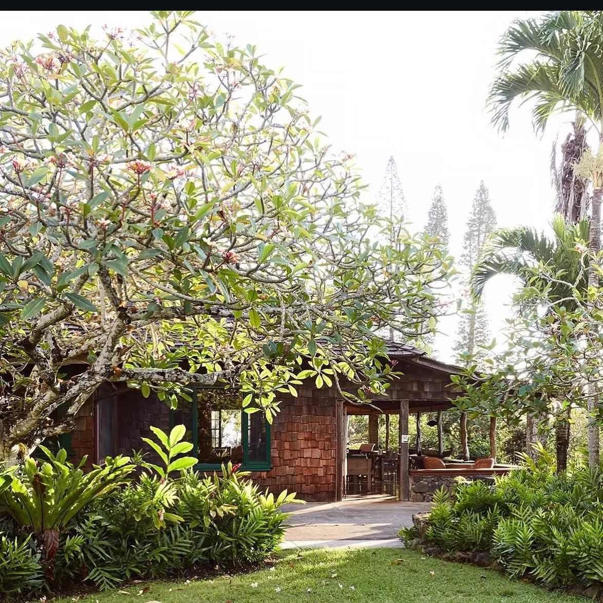 Our lodge is now open for the holidays! Come and stay with us 🥰. Single rooms available. #Molokai #PuuOHokuRanch