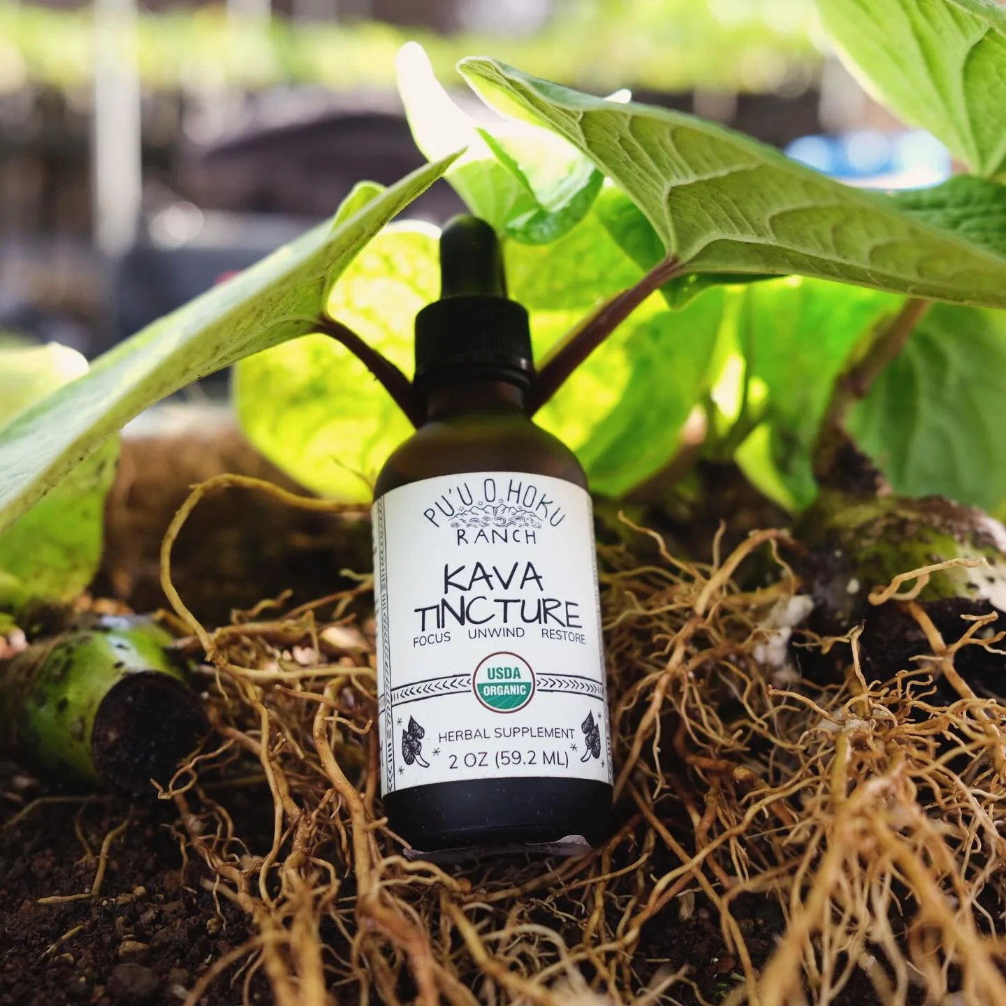 Our tincture is now available online! #Roots #Organic #Kava