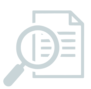 Audit standards