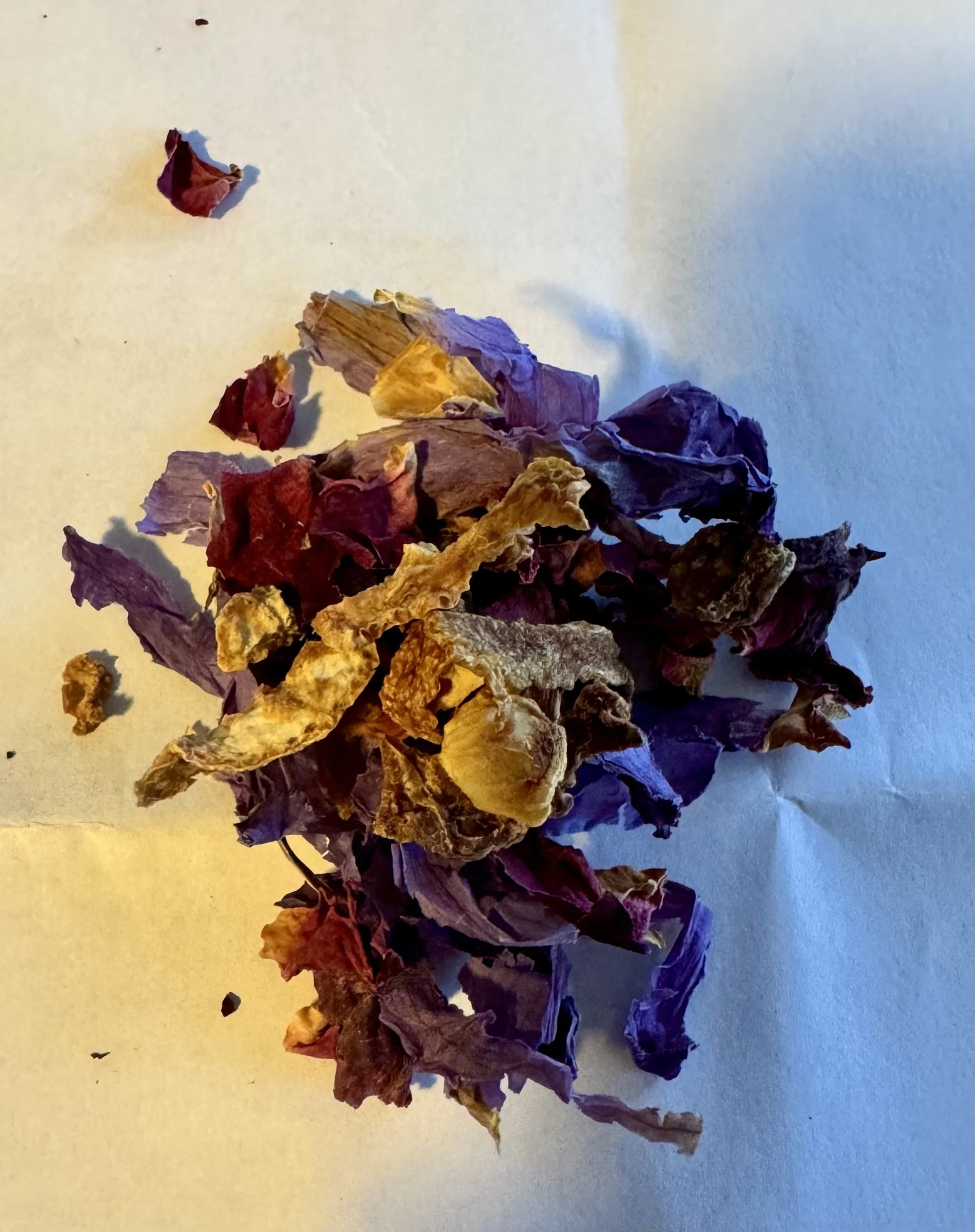 "Back in the Day" By Erykah Badu