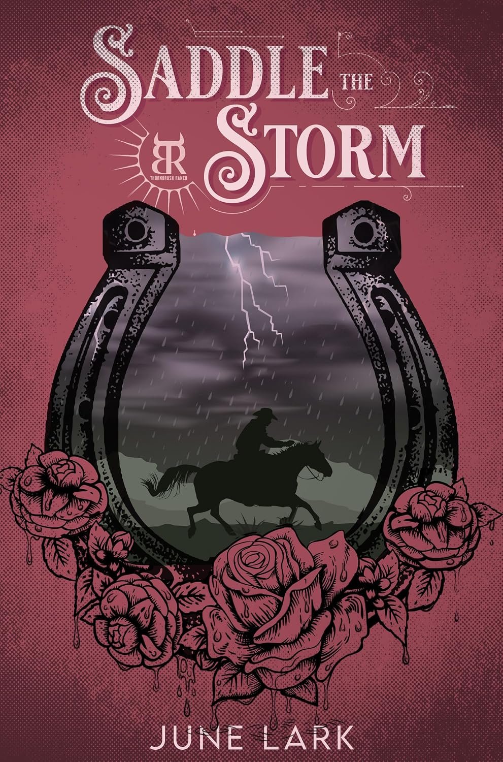 SADDLE THE STORM BY JUNE LARK | SIGNED COPIES