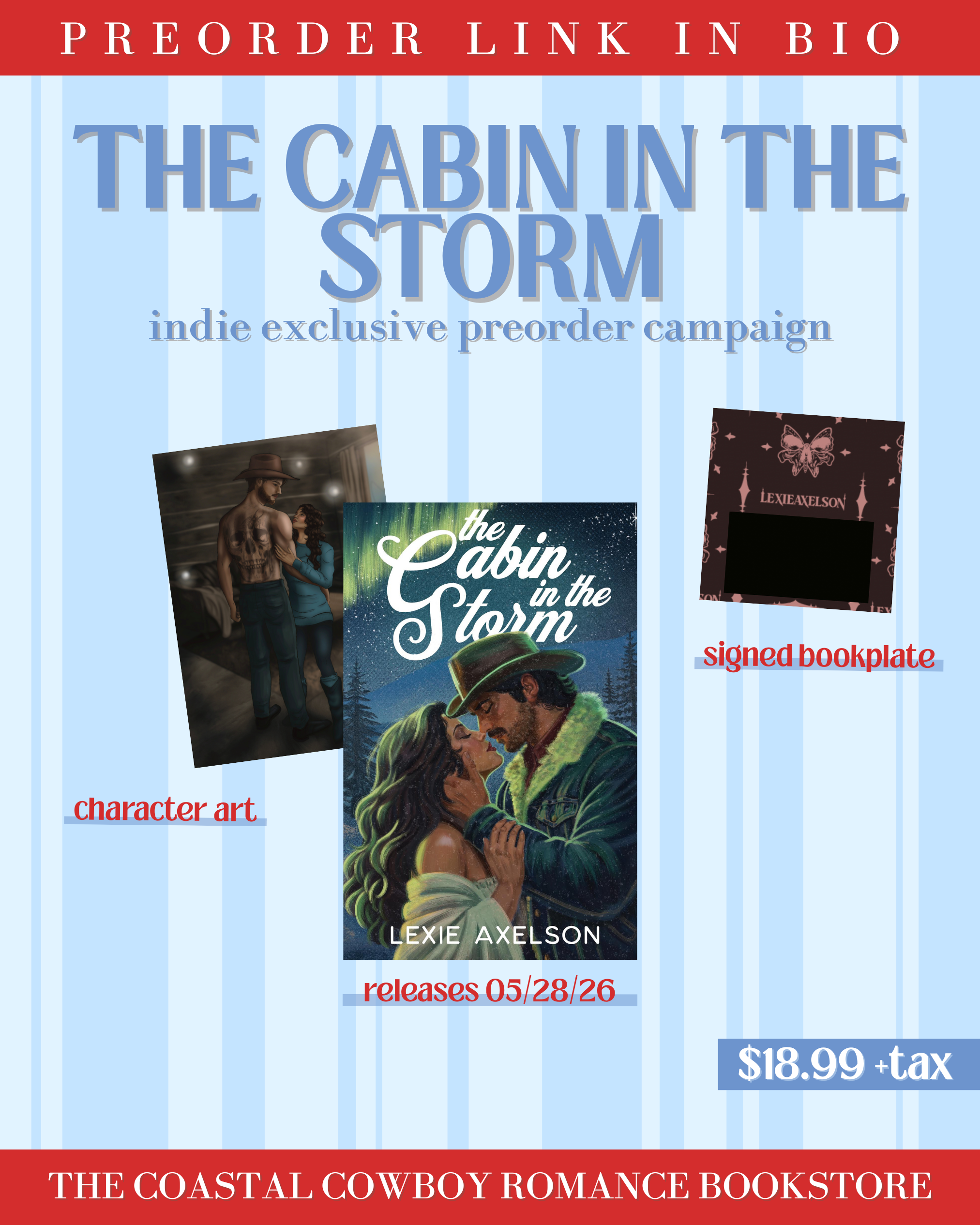 THE CABIN IN THE STORM | PREORDER