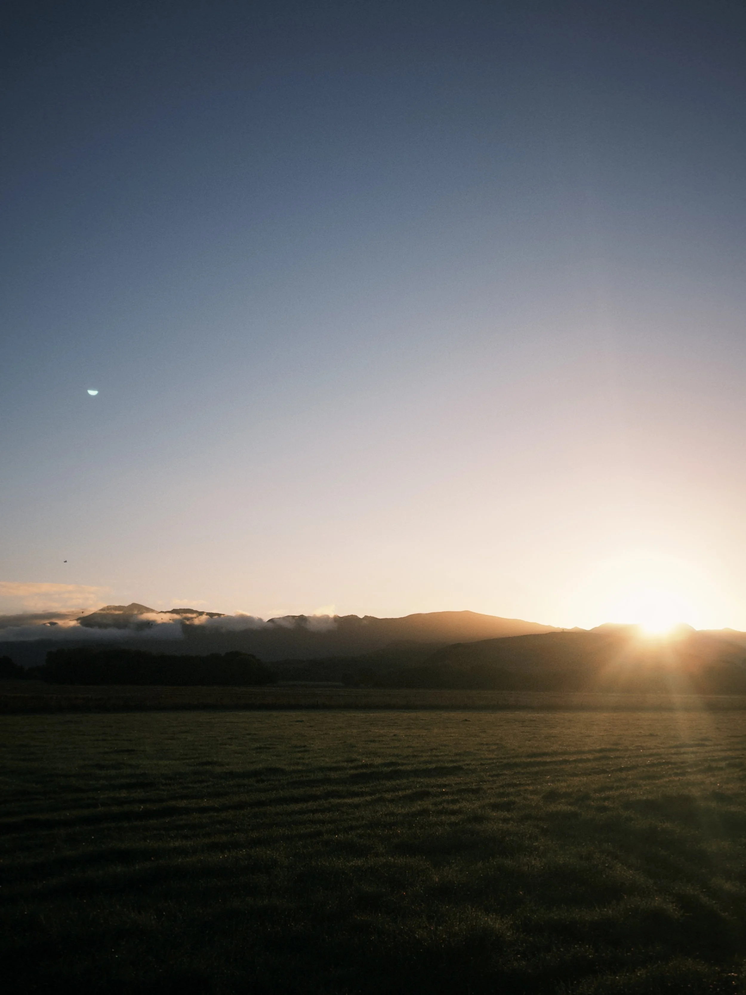 Mountain Tops are for looking at the view. 