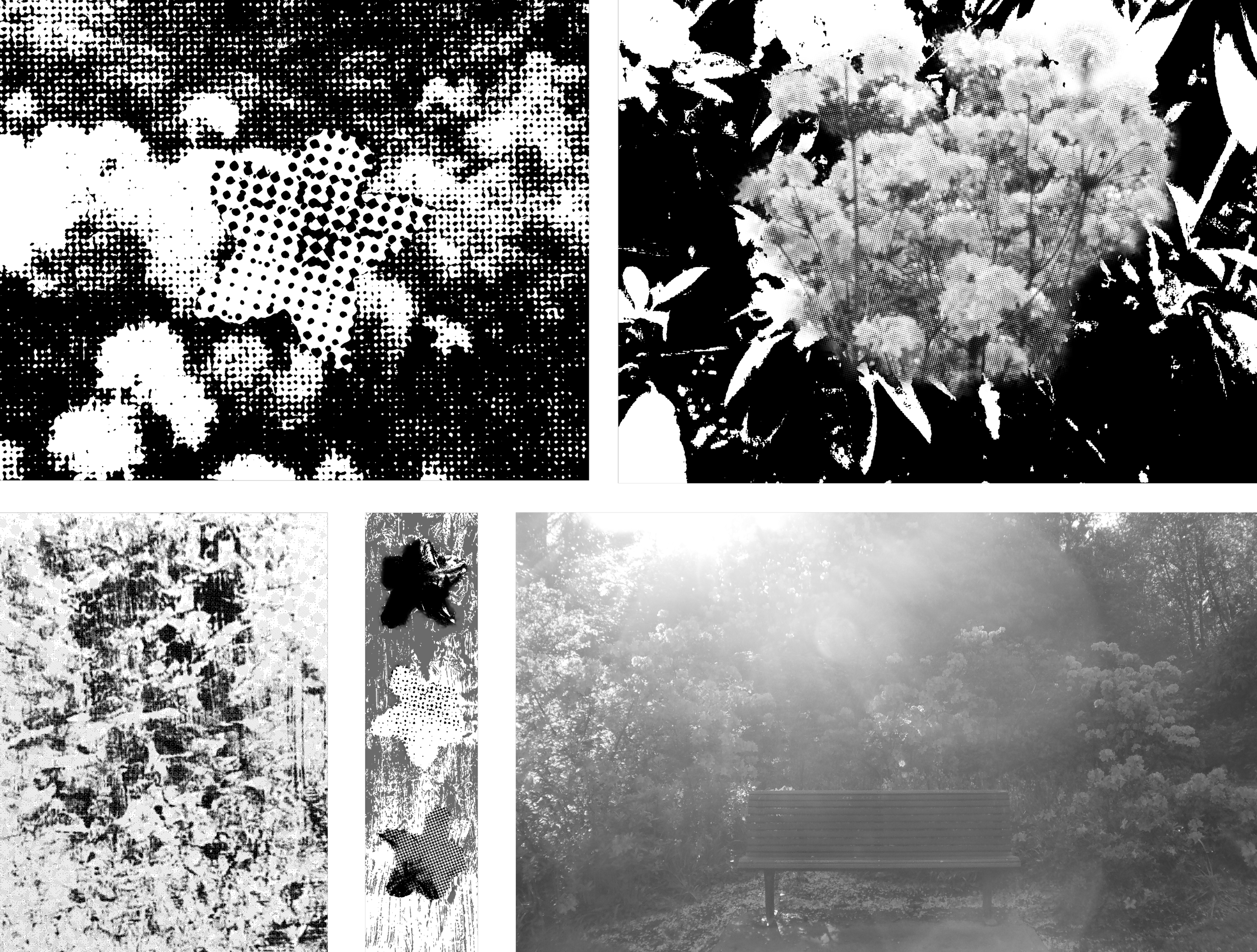 Guys Like Flowers Too