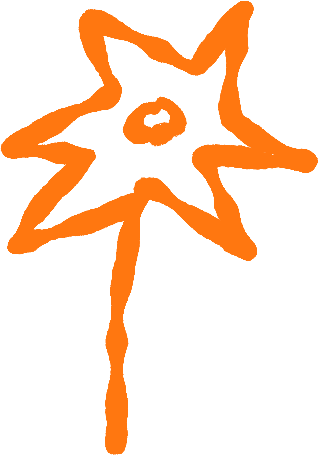 Orange star-shaped object with a face-like feature in the center, against a black background.