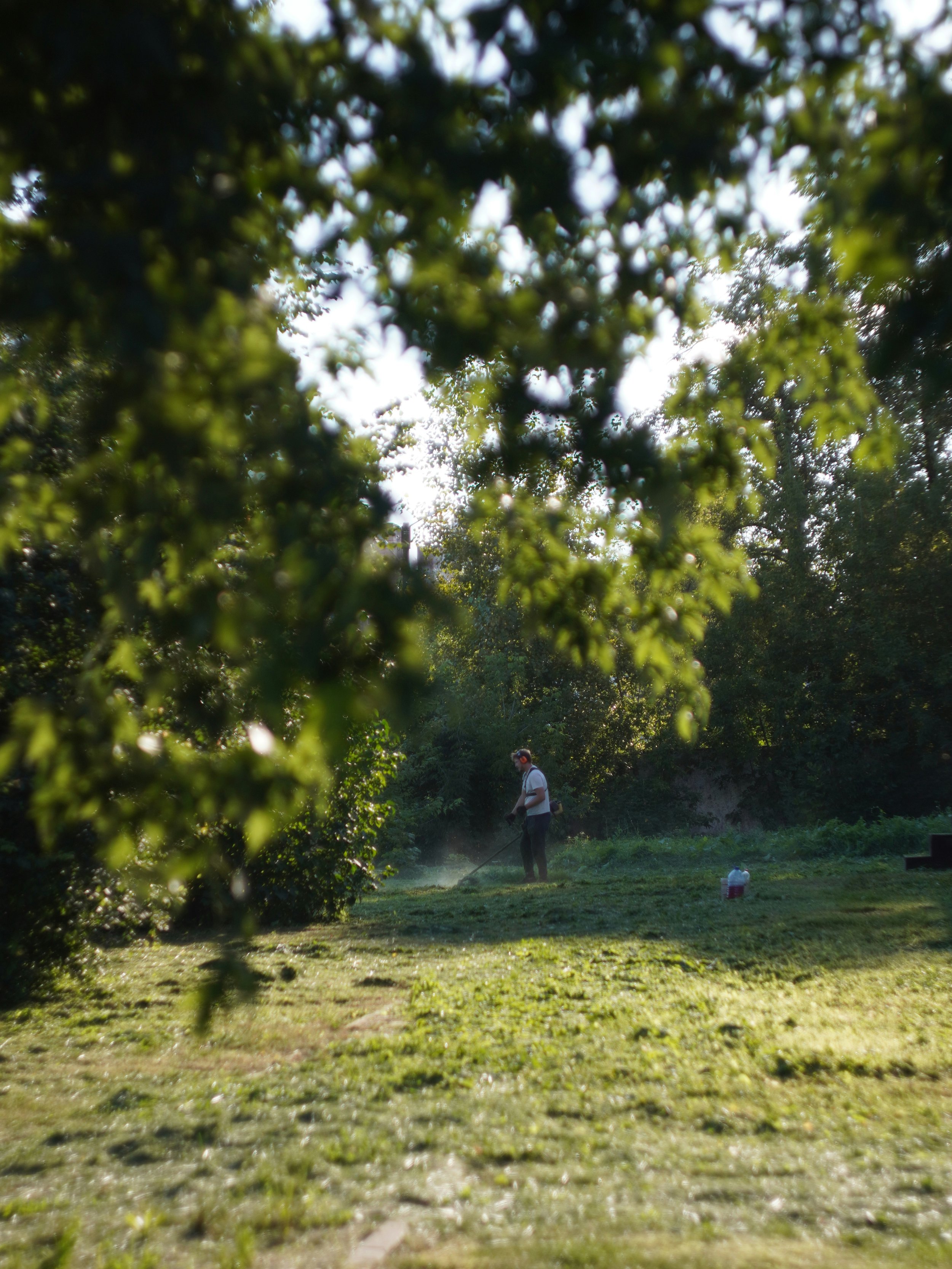 A homeowner using a weed whacker after an on-site equipment repair by Iron Valley Small Engines.