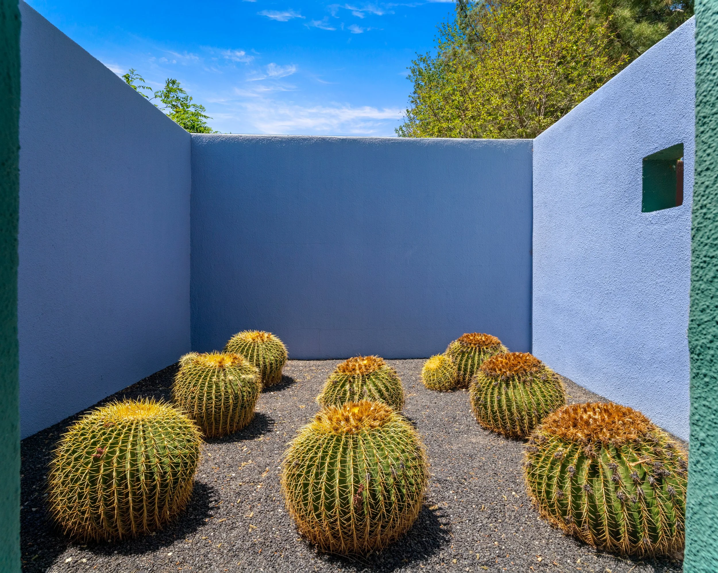 MLS Camera Guy (110 of 110).jpg