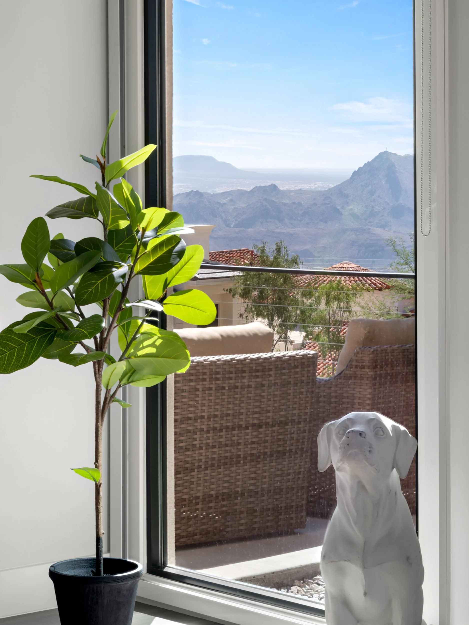 MLS Camera Guy-62.jpg