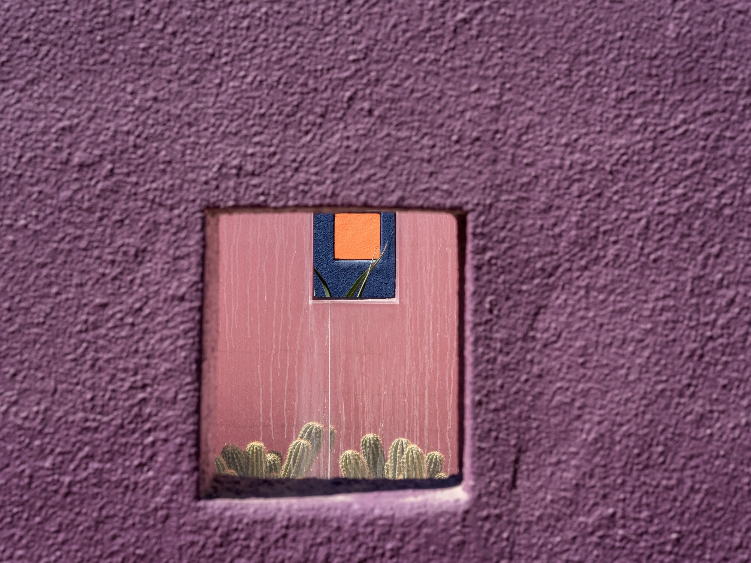 MLS Camera Guy (95 of 110).jpg