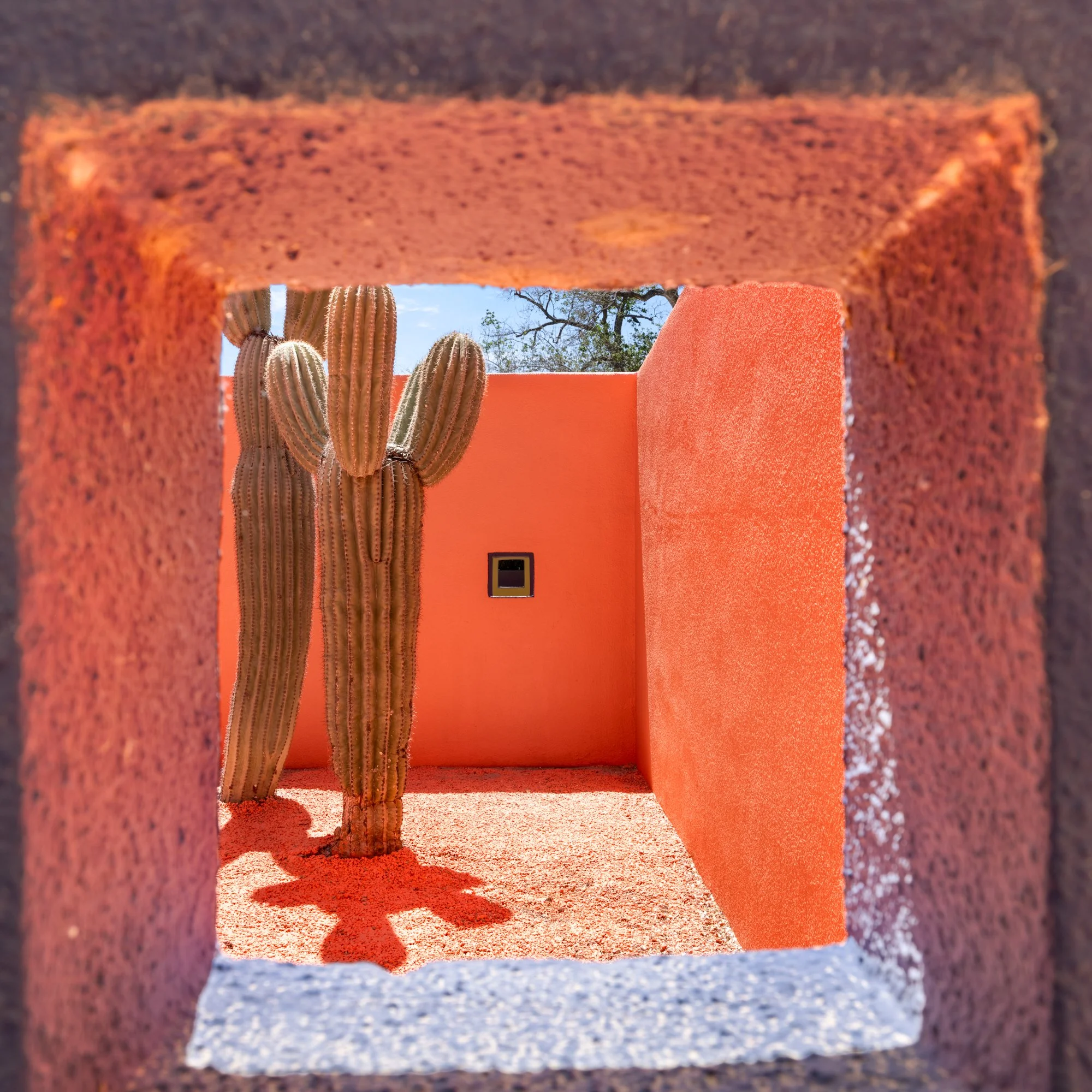 MLS Camera Guy (93 of 110).jpg