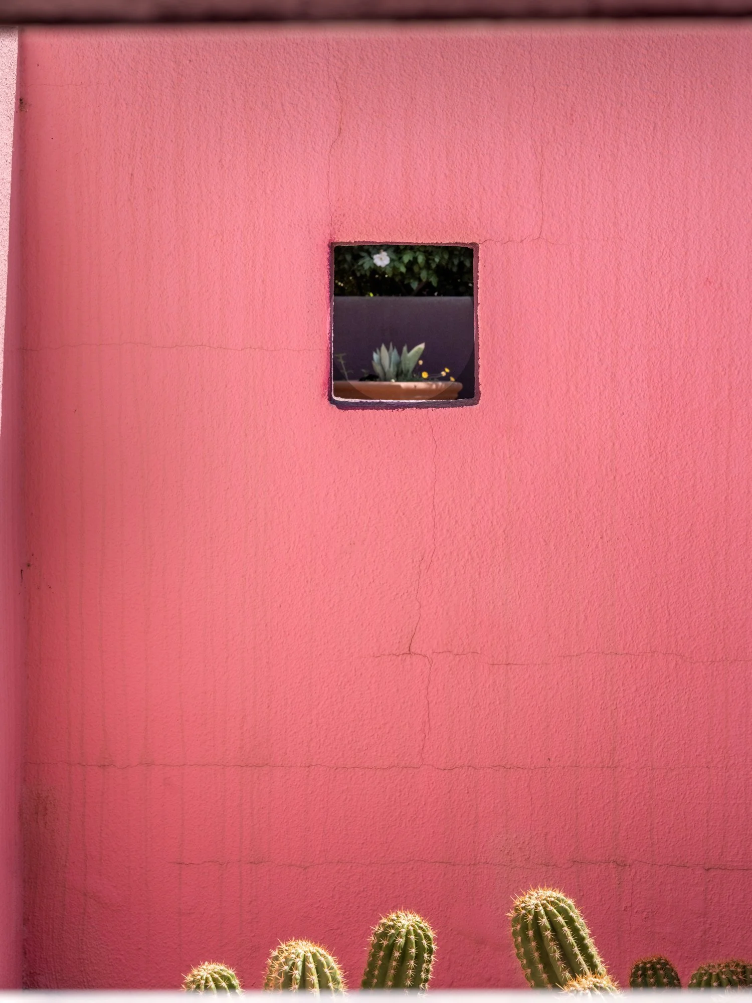 MLS Camera Guy (102 of 110).jpg